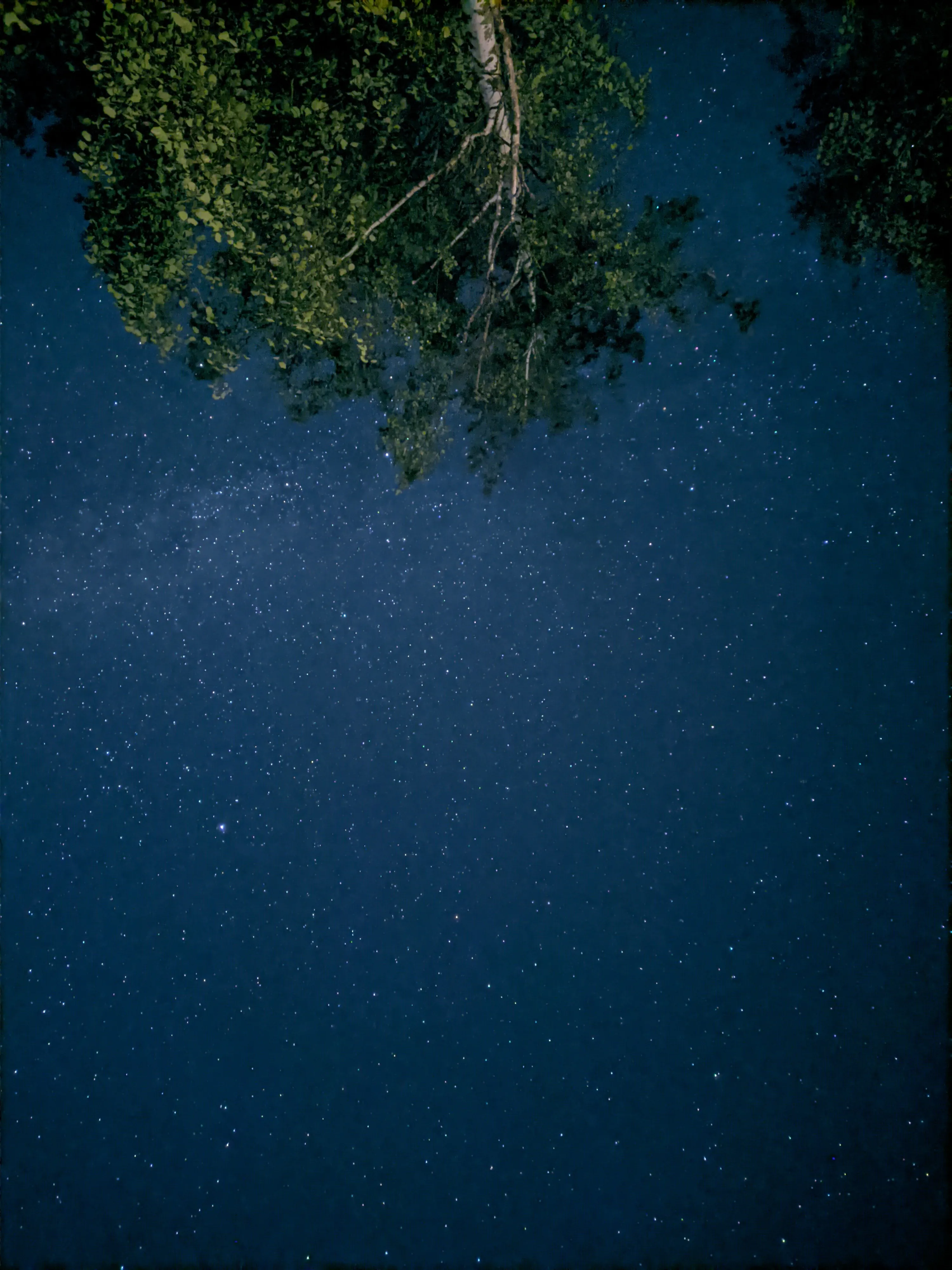 Звездная даль