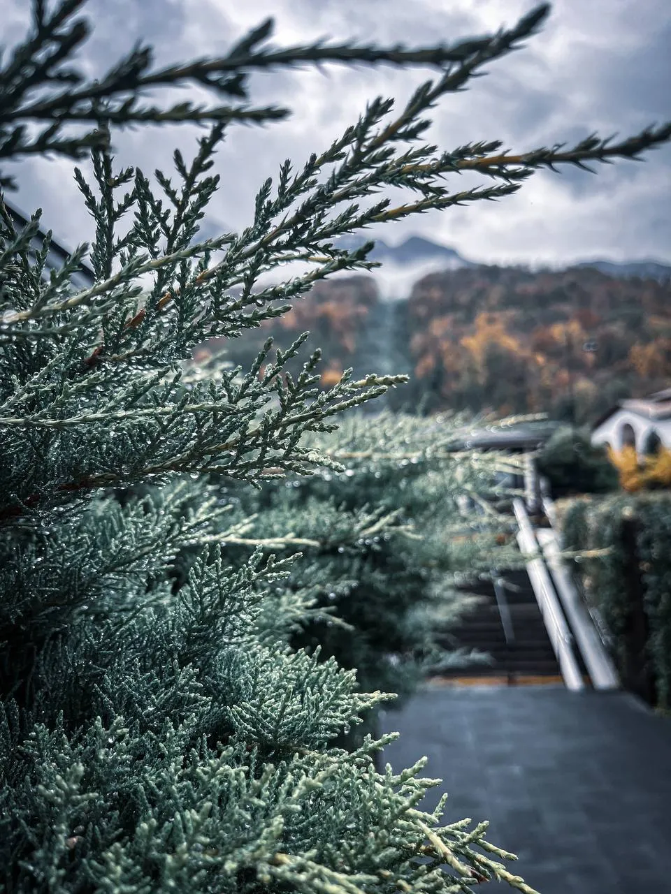 Осень в деталях