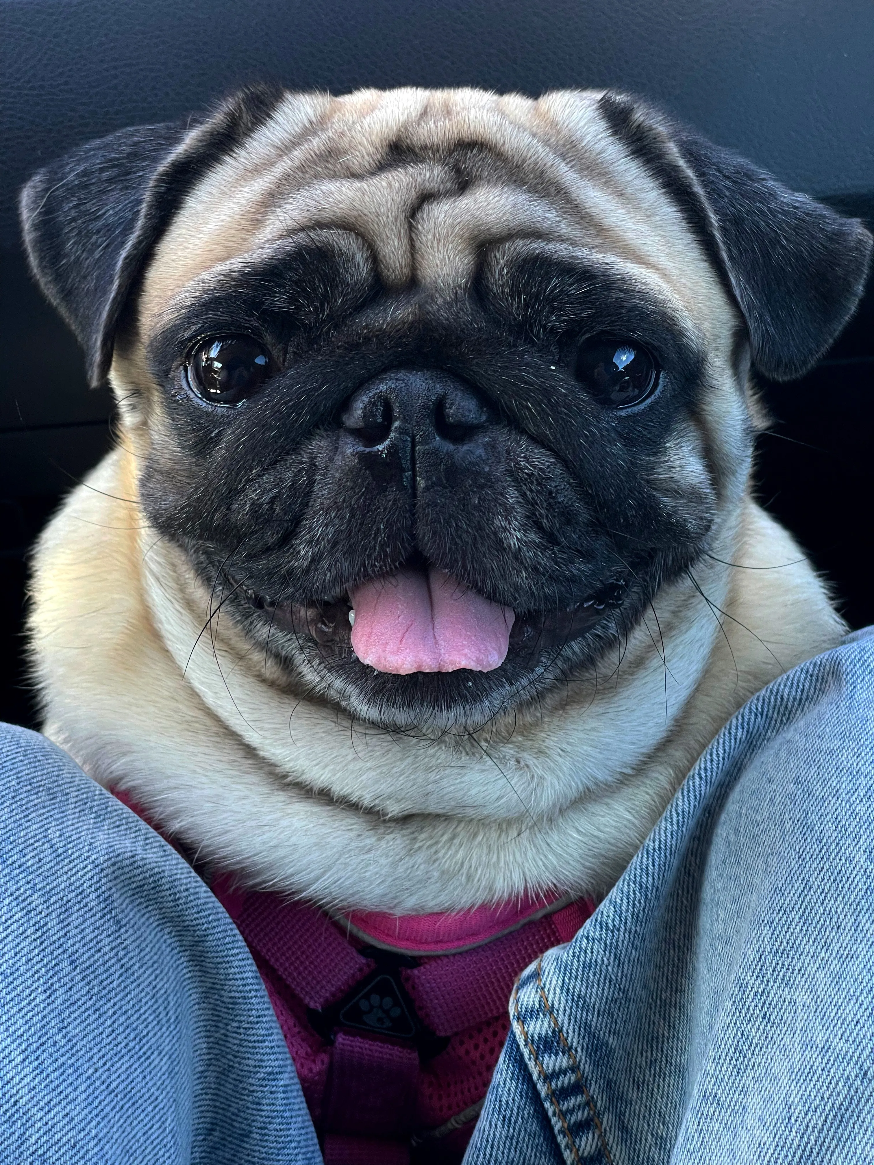 Фотография на паспорт