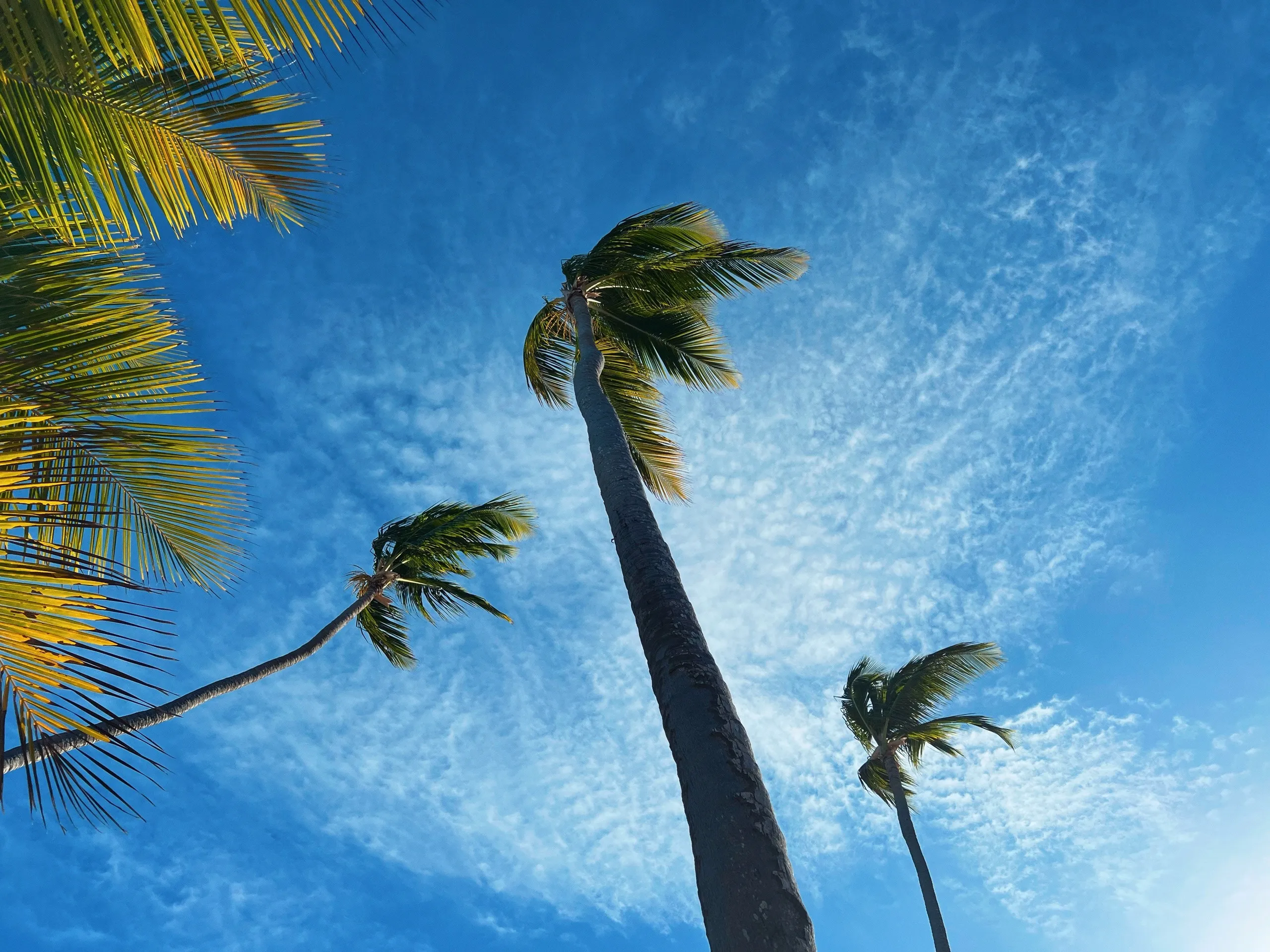 Умиротворение