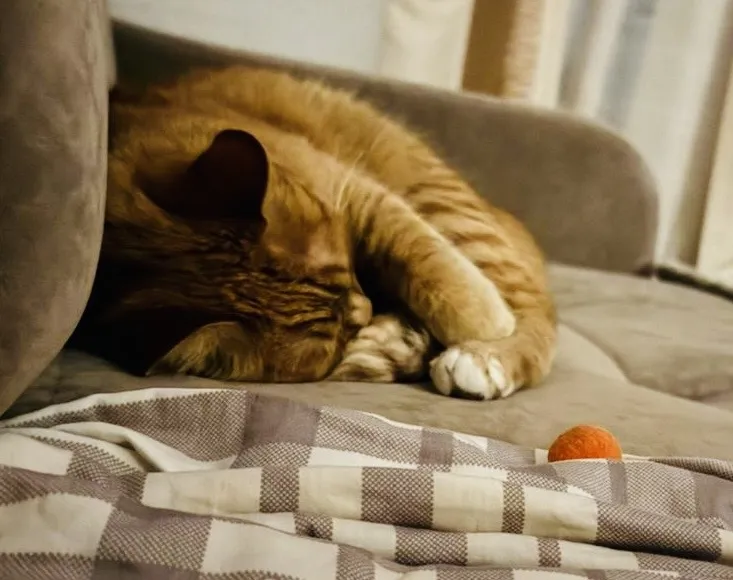 Прекрасное в моменте.