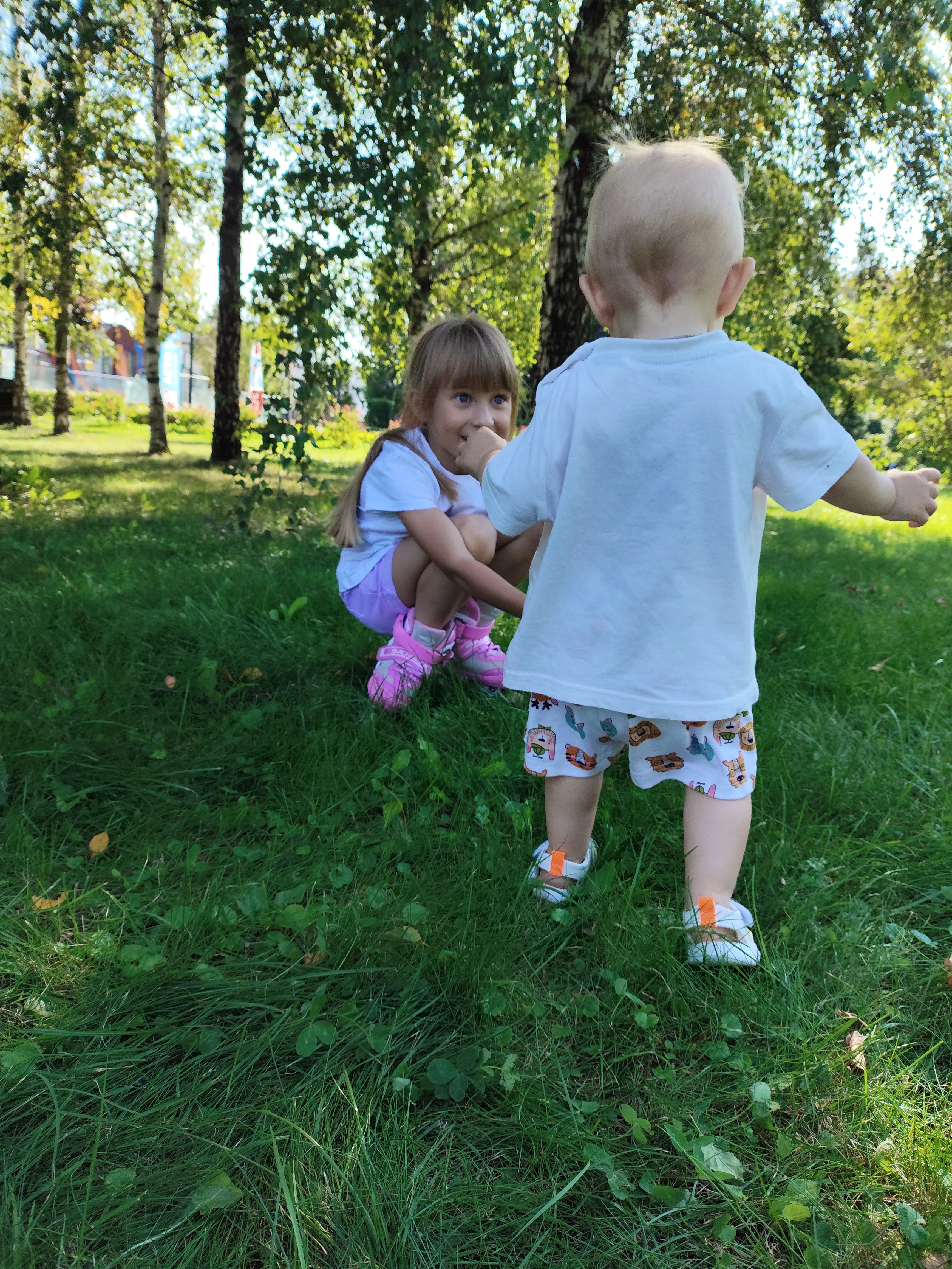 Первые шаги