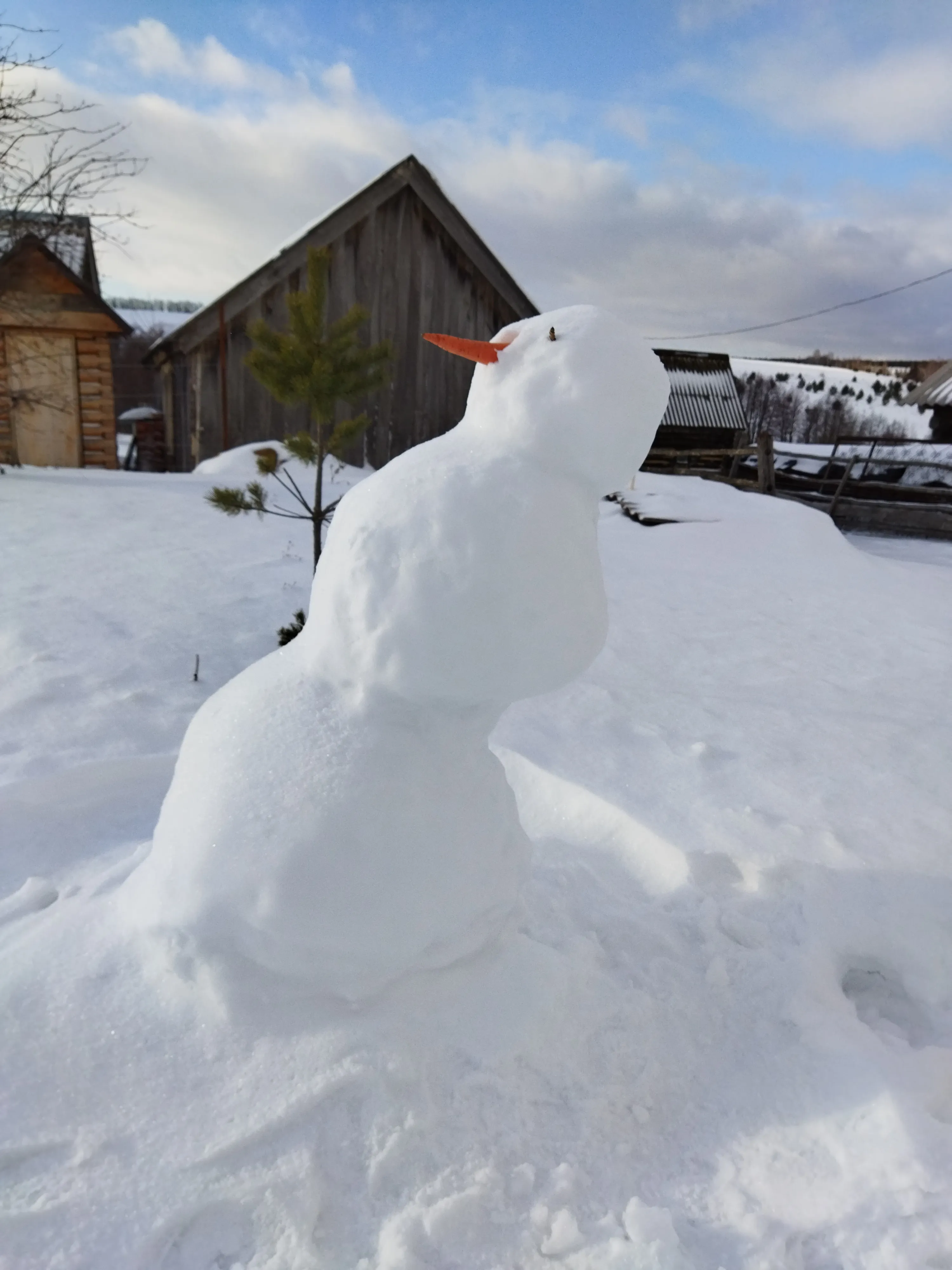 Солнечный удар