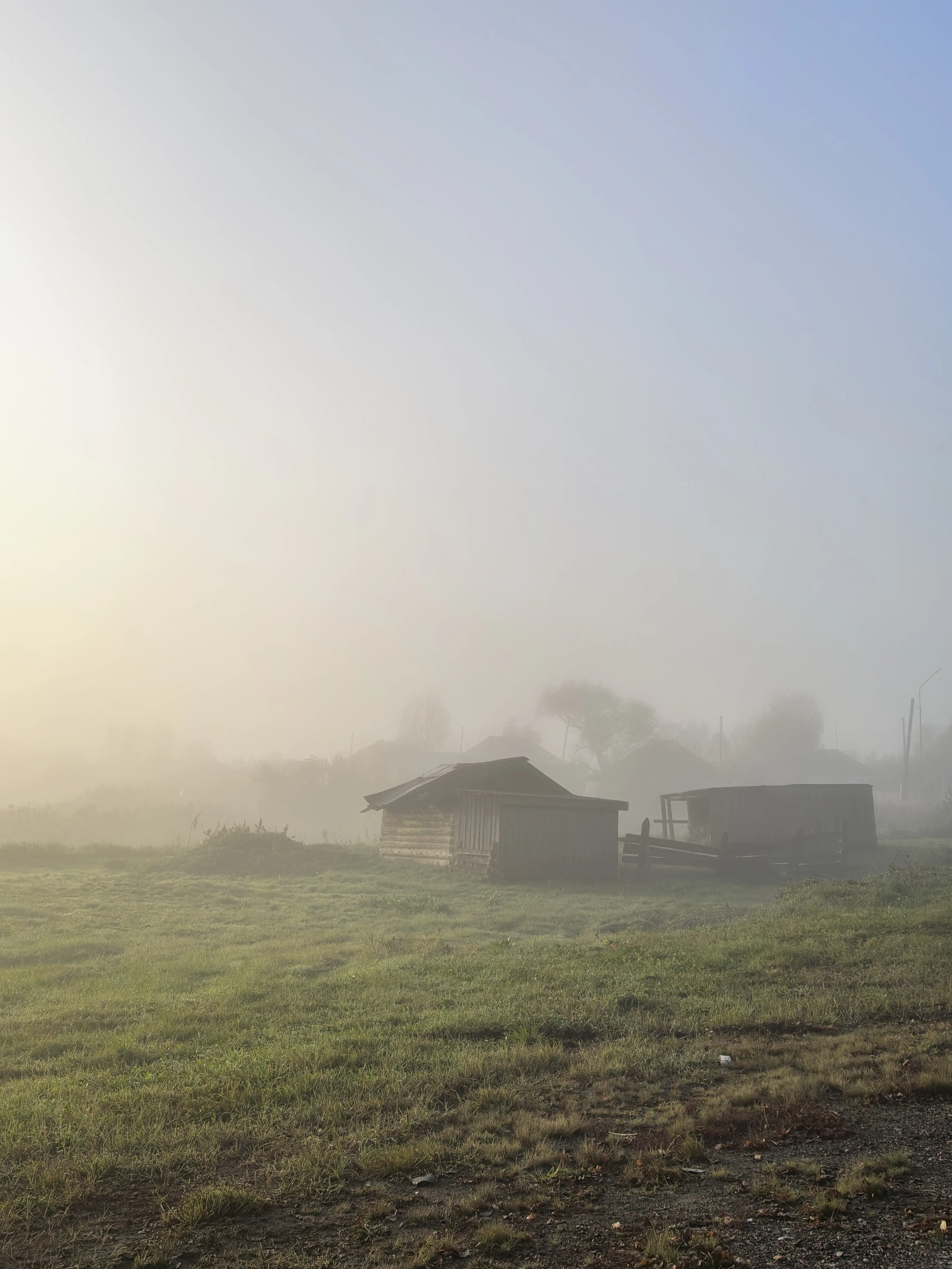 Туманное утро