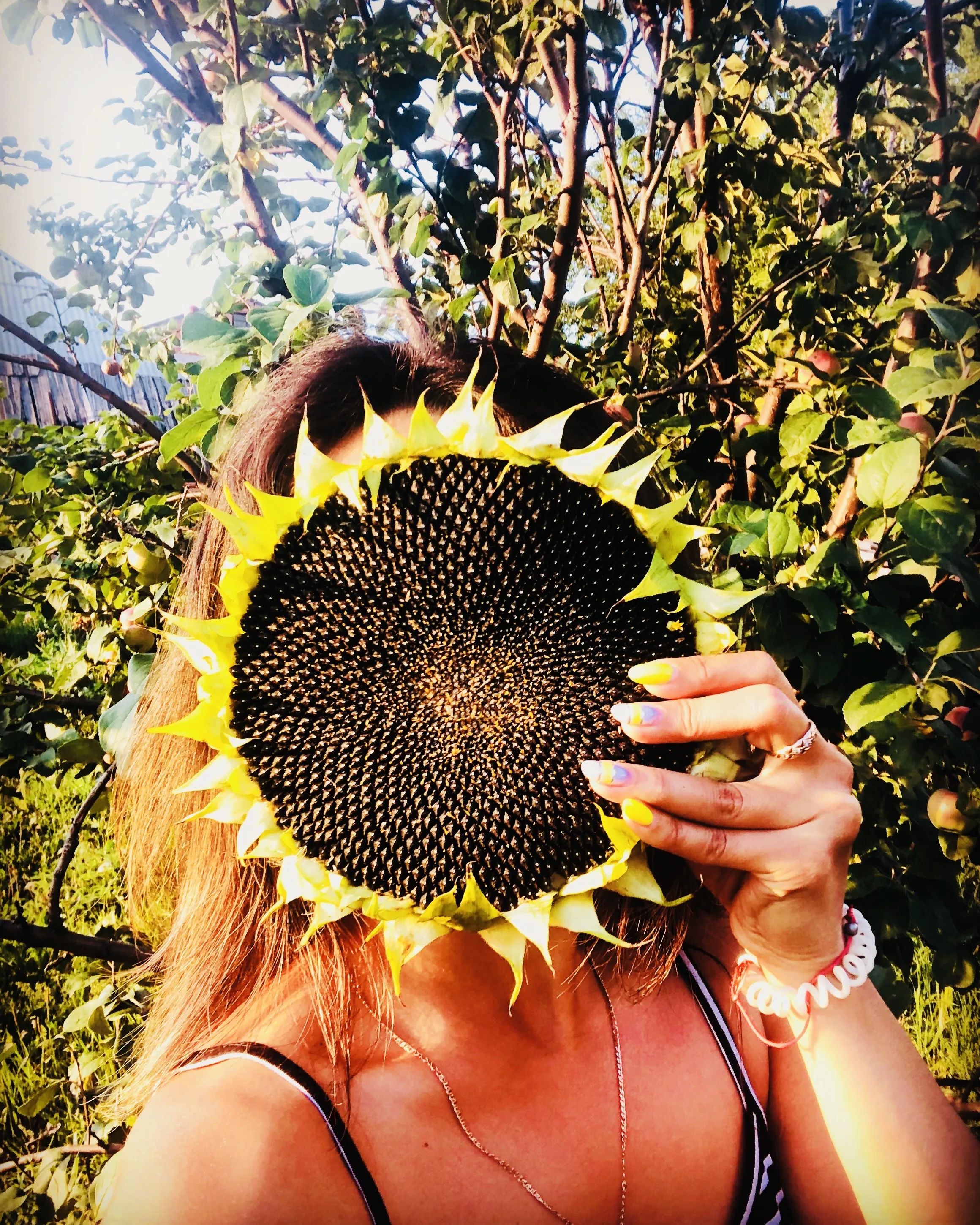 Деревенские будни