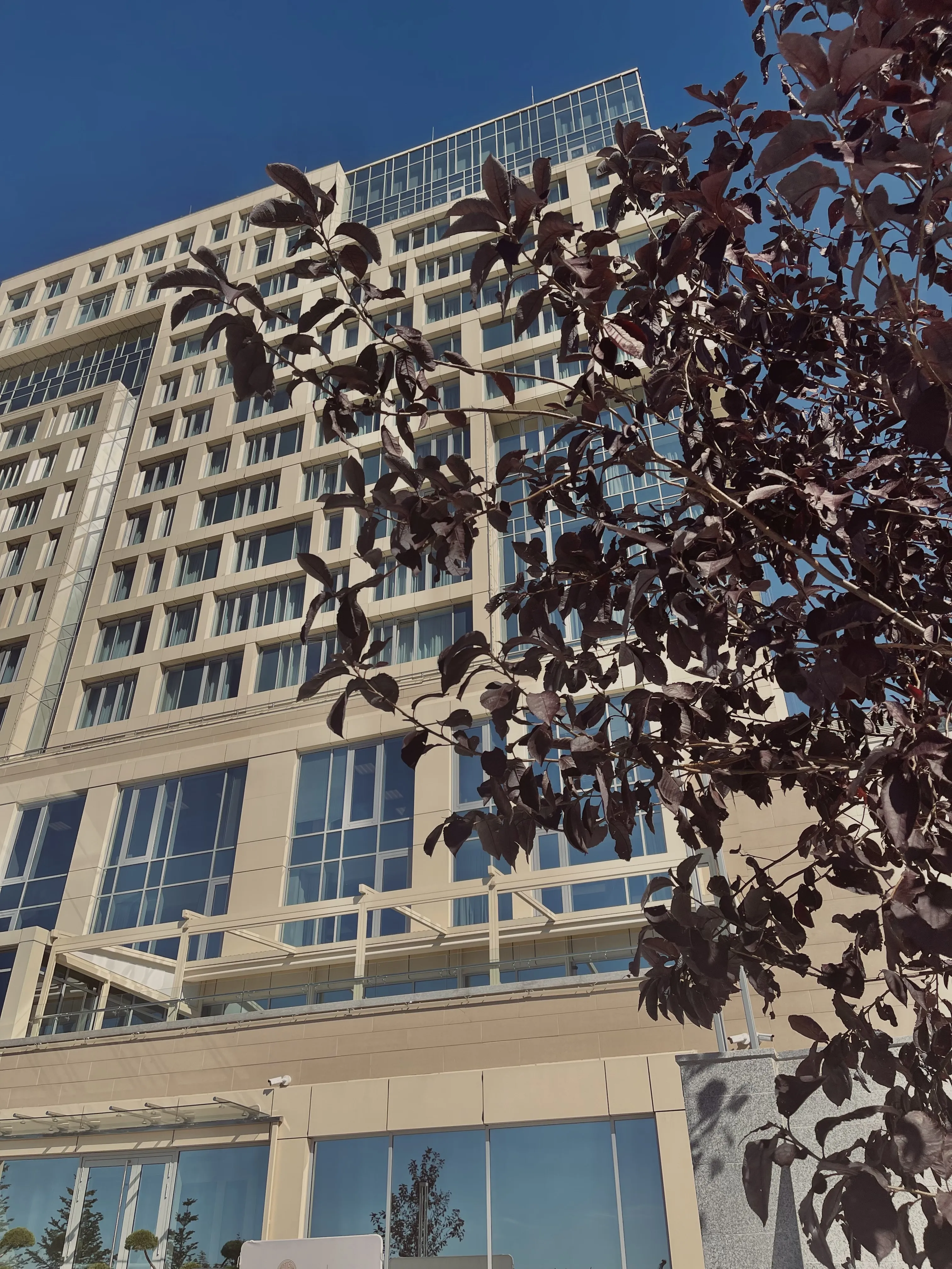 Игра света и тени: Владивосток!