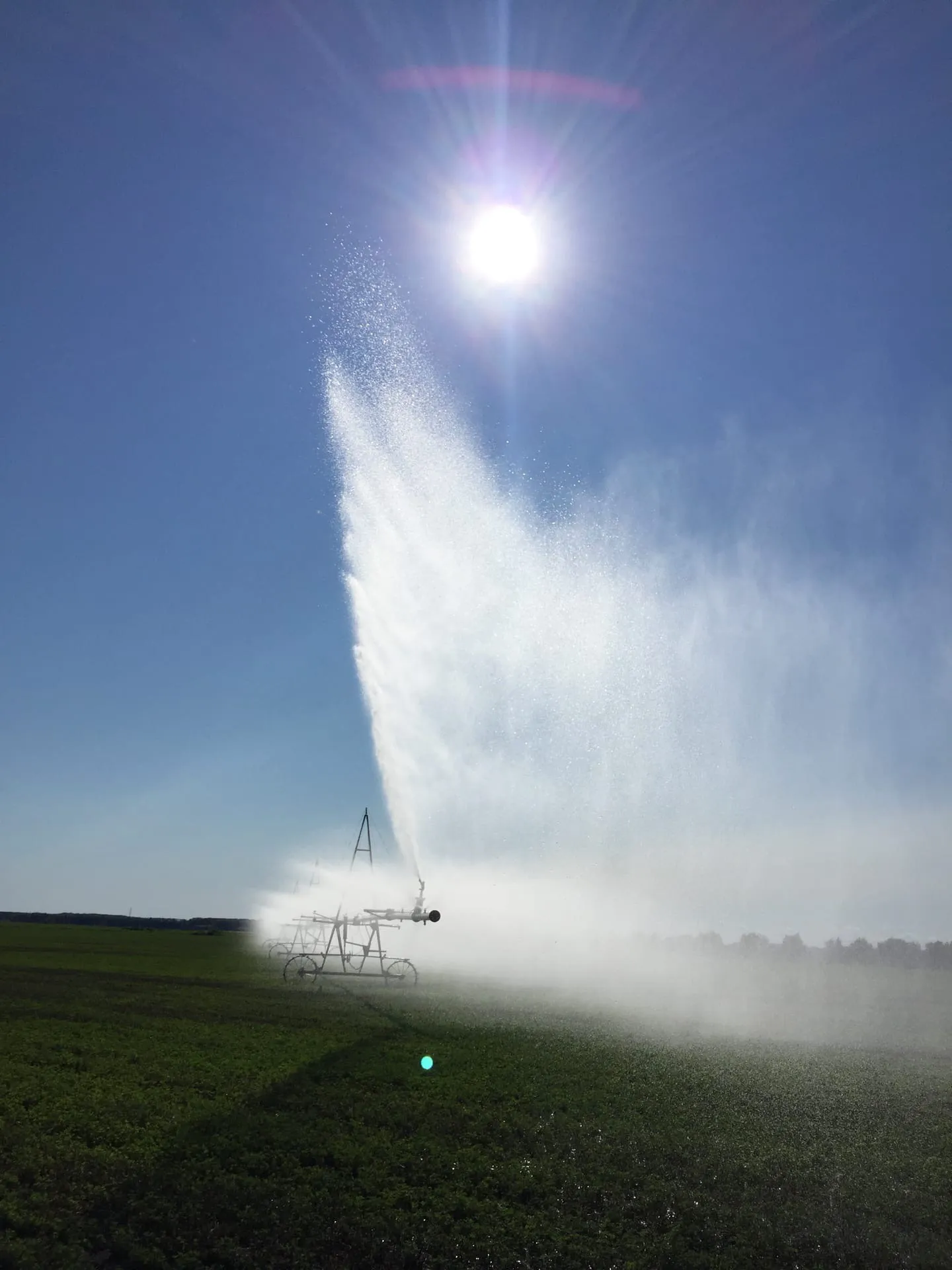 Родные просторы