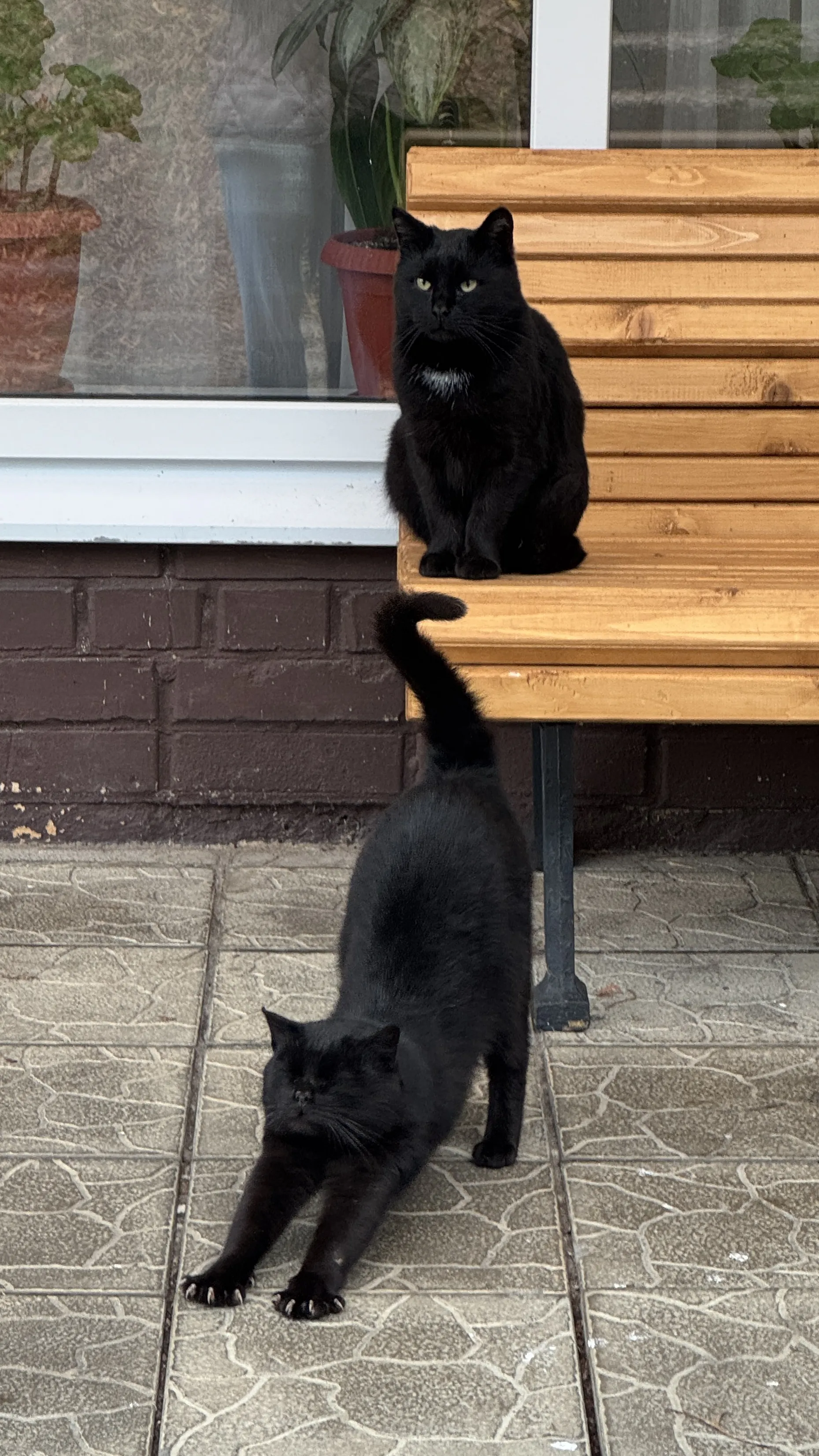 Утро добрым не бывает