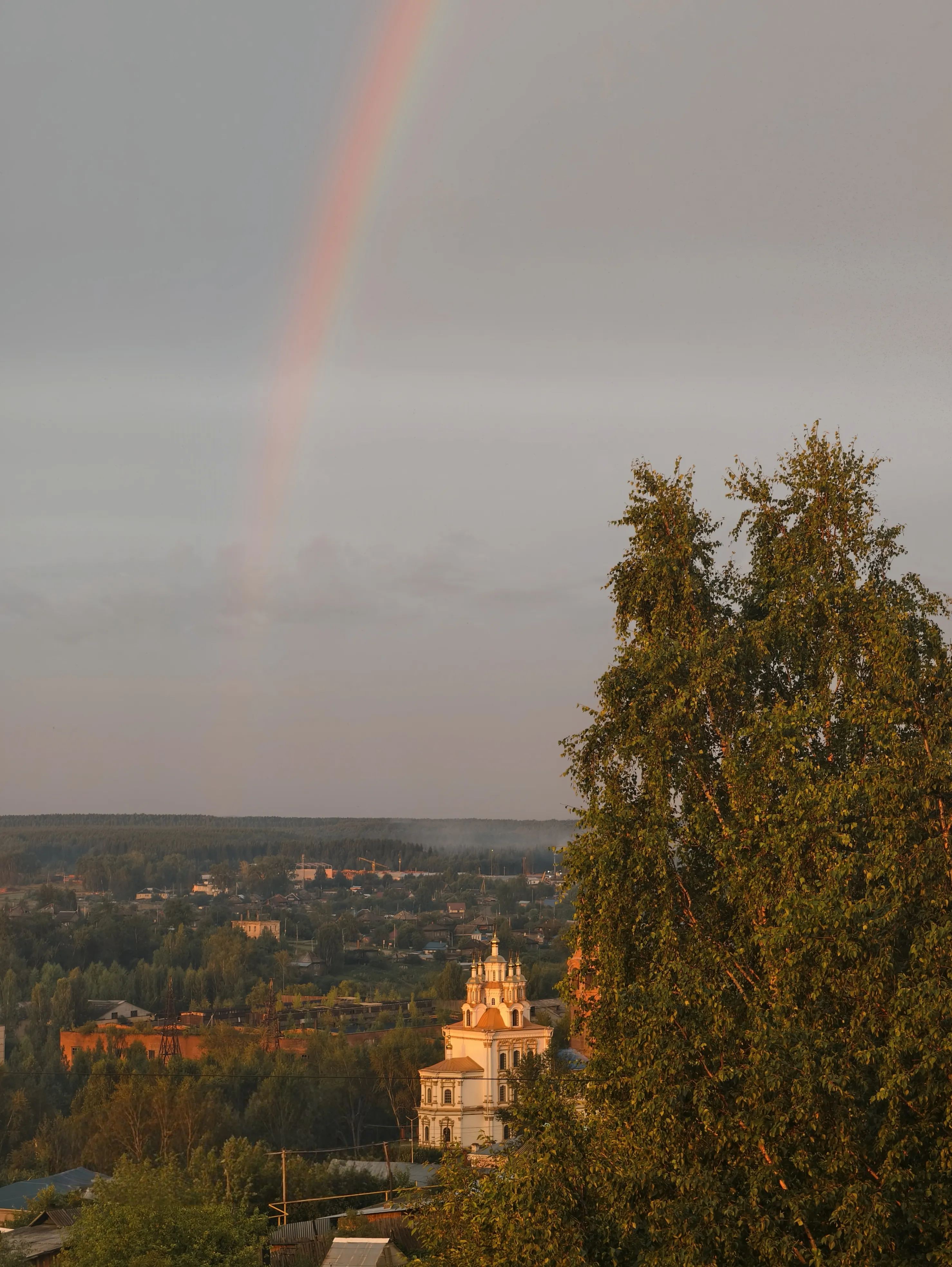Летнее утро