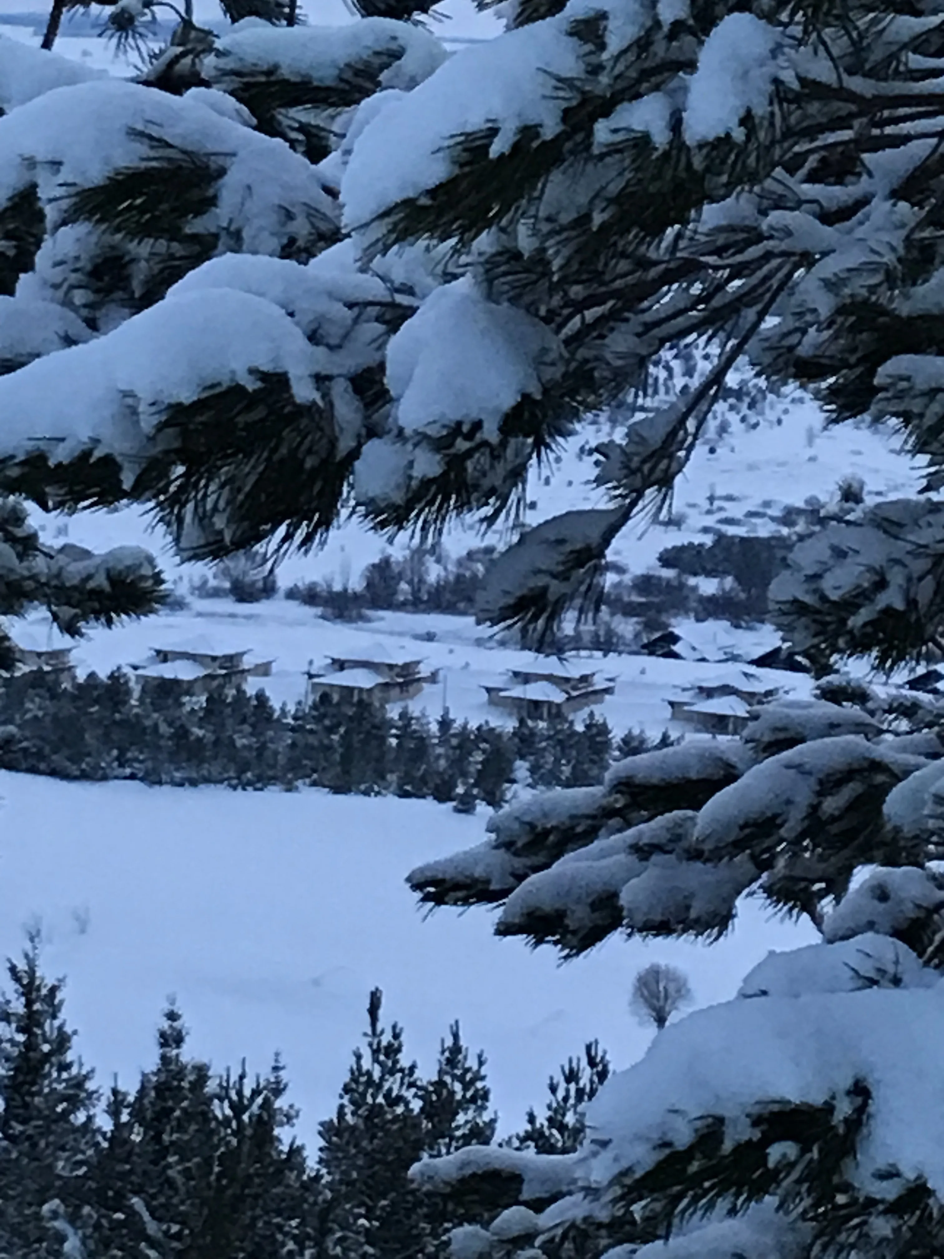 Снежная зима