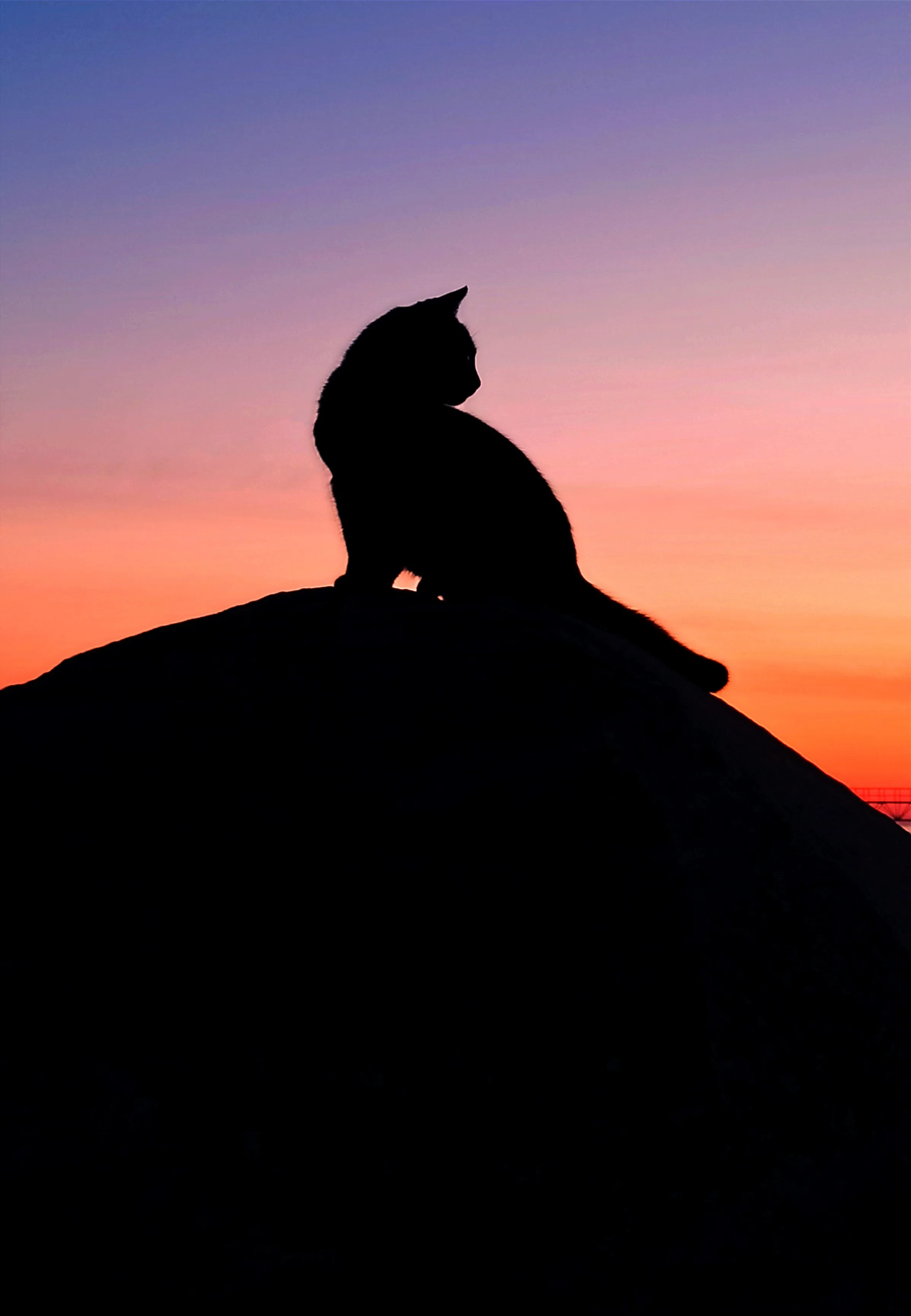 Встреча на закате