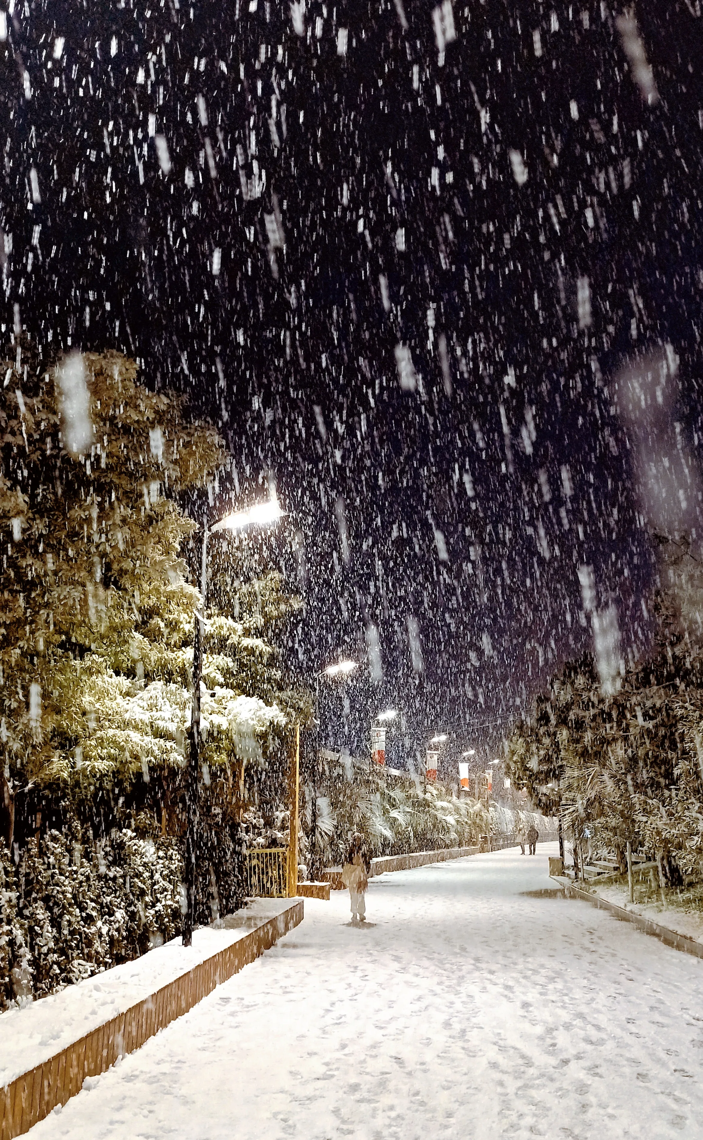 Снег над южным городом