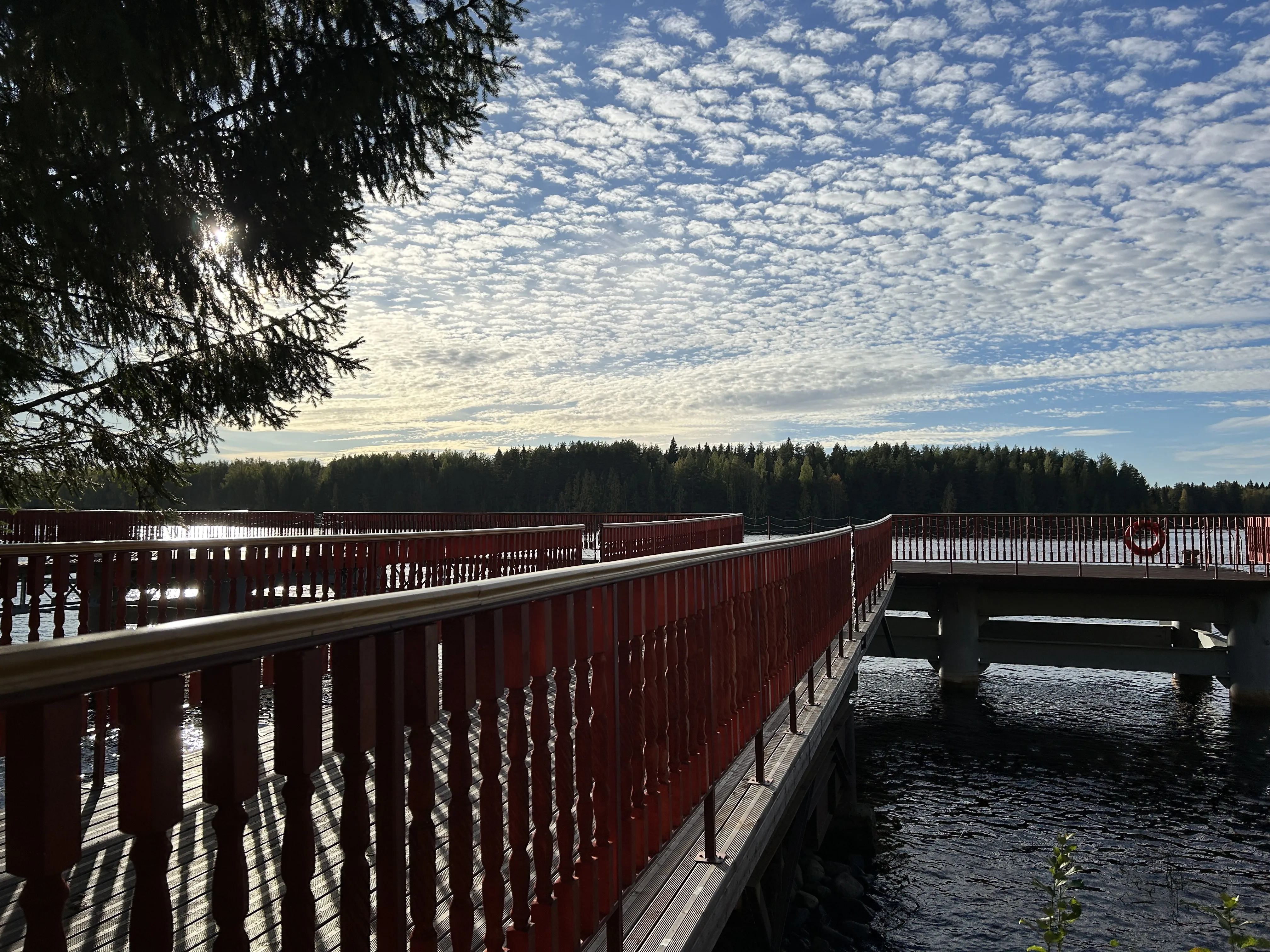 Буйство красок