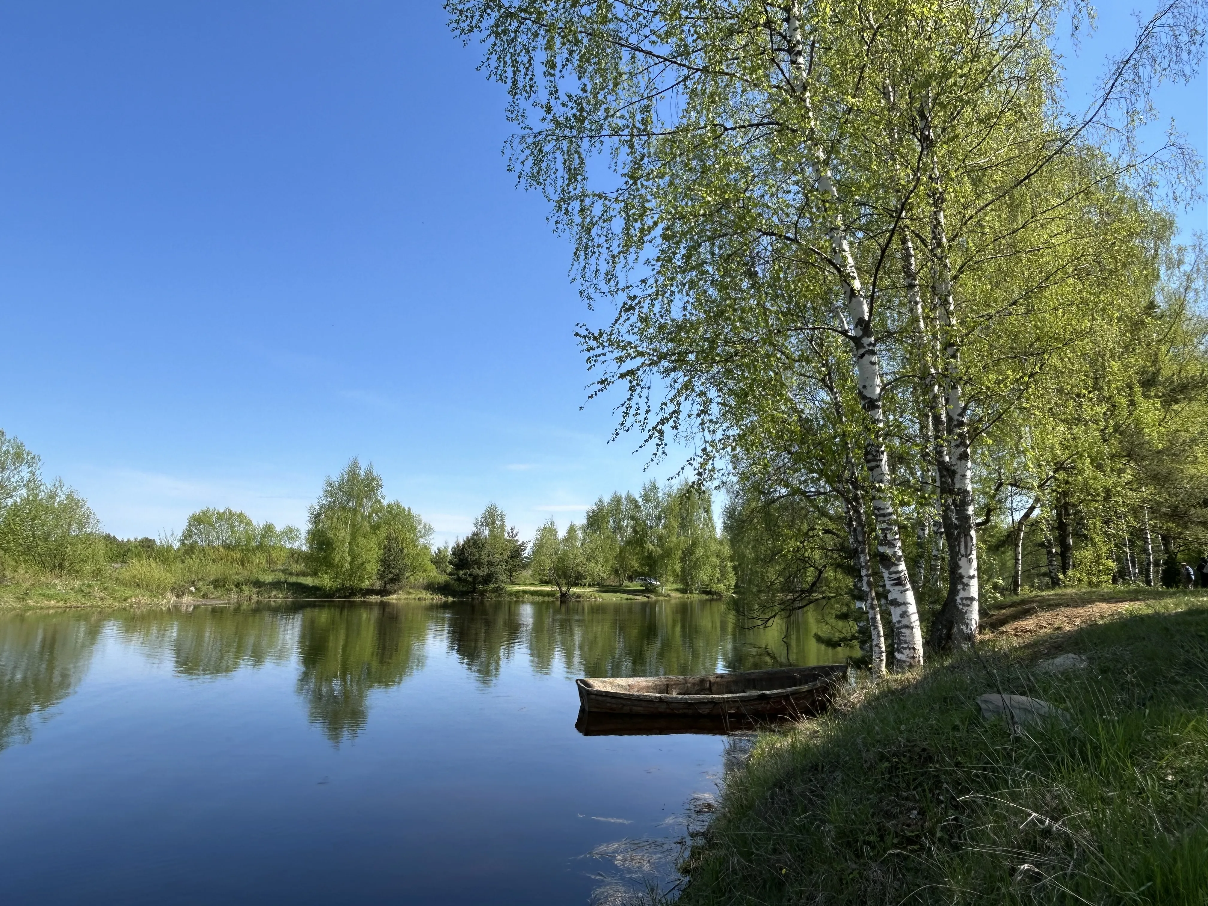 Отражение природы