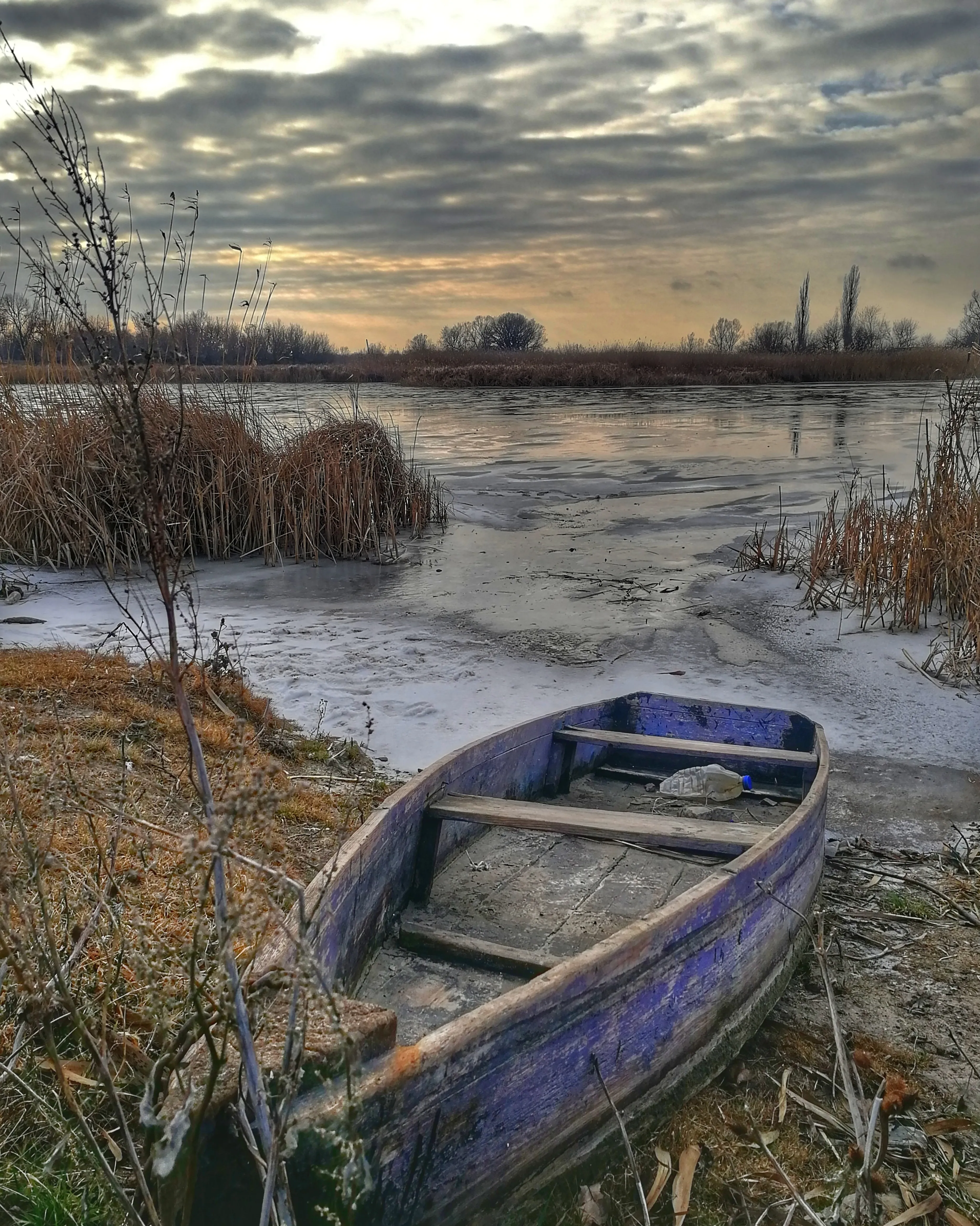 Бесснежная зима