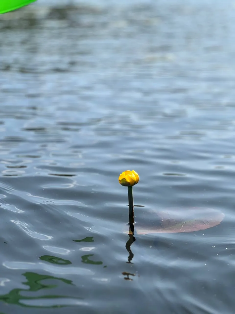 “Между двумя мирами»