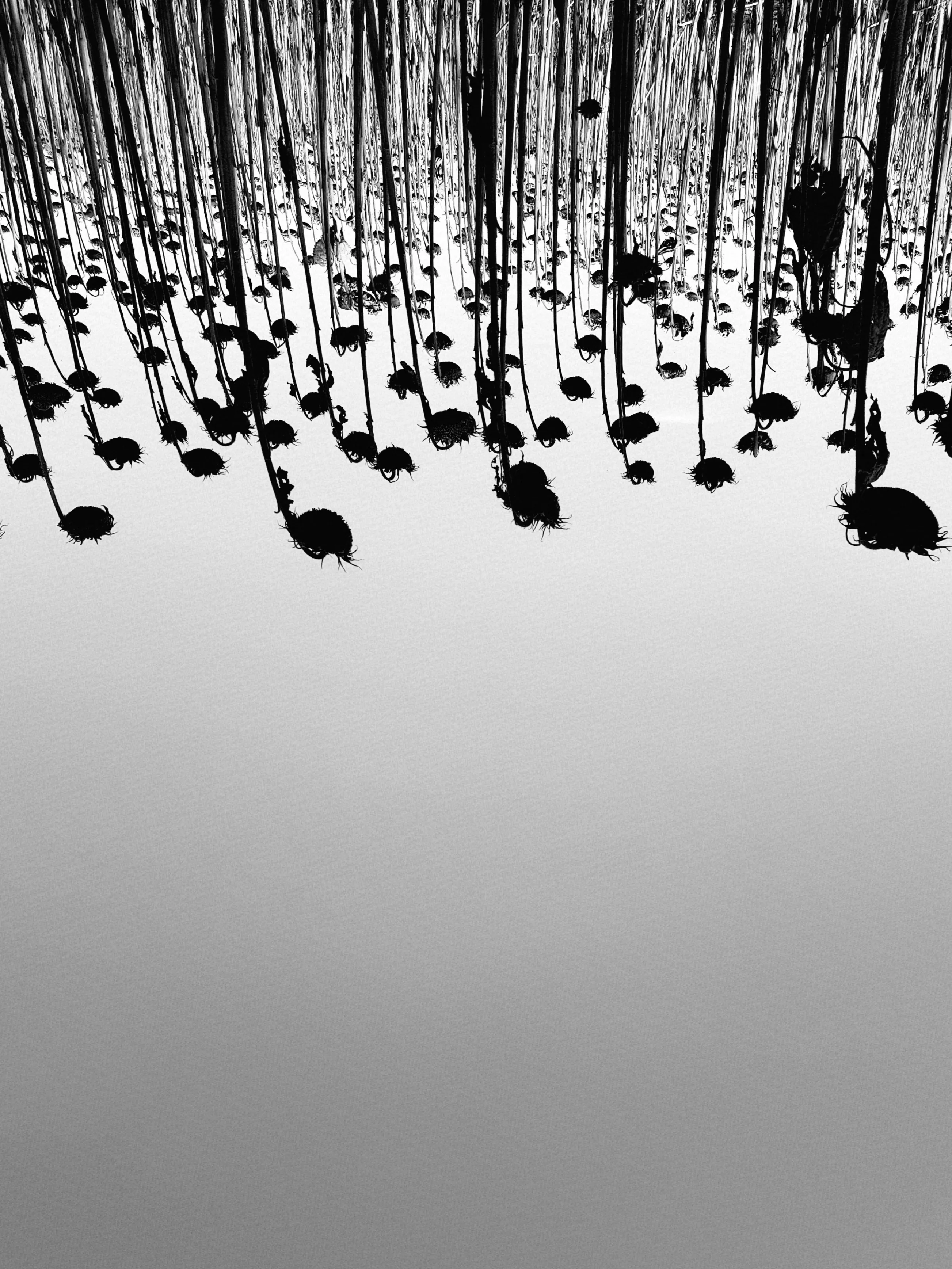 Параллельный мир