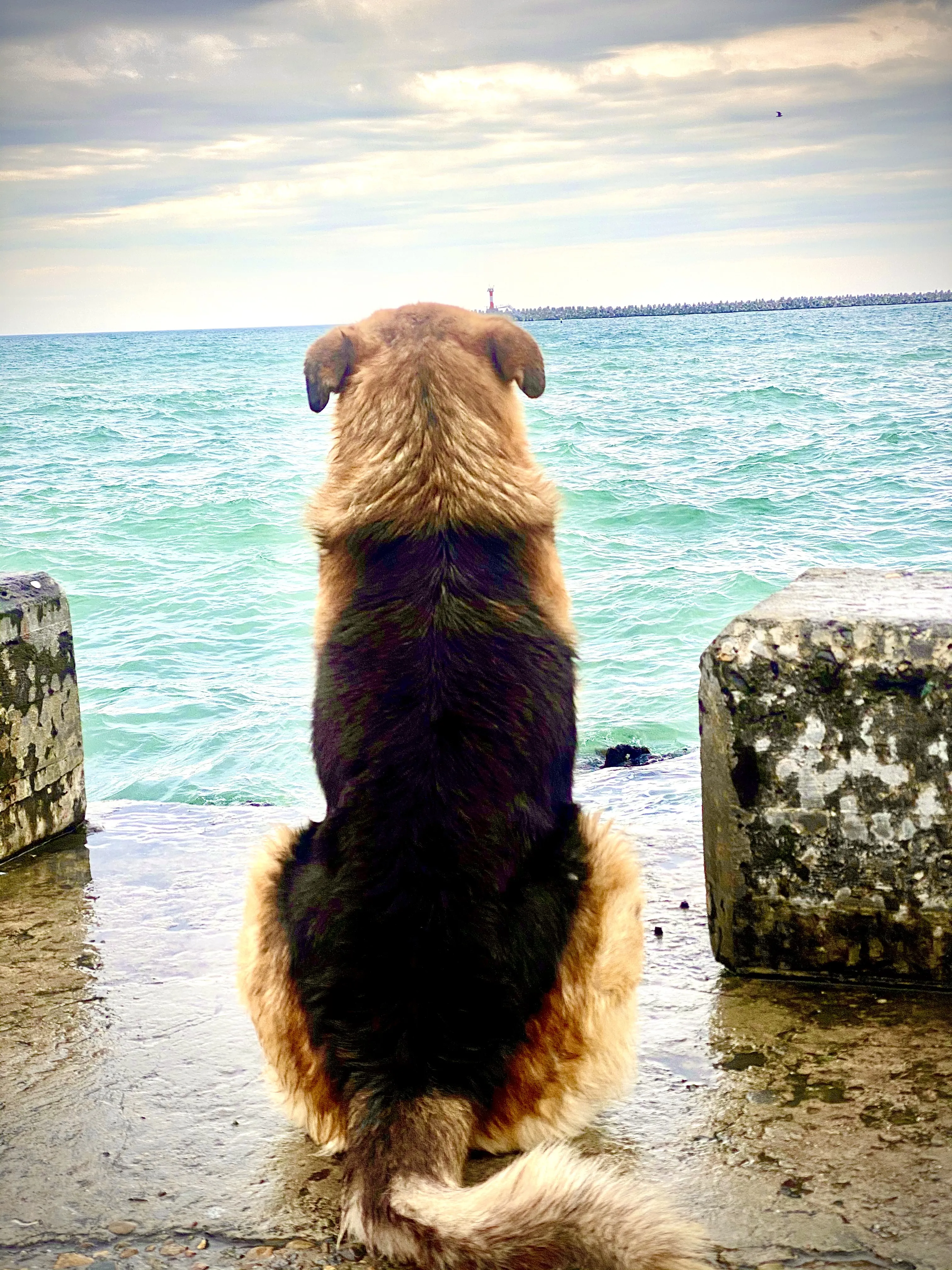 Умиротворение