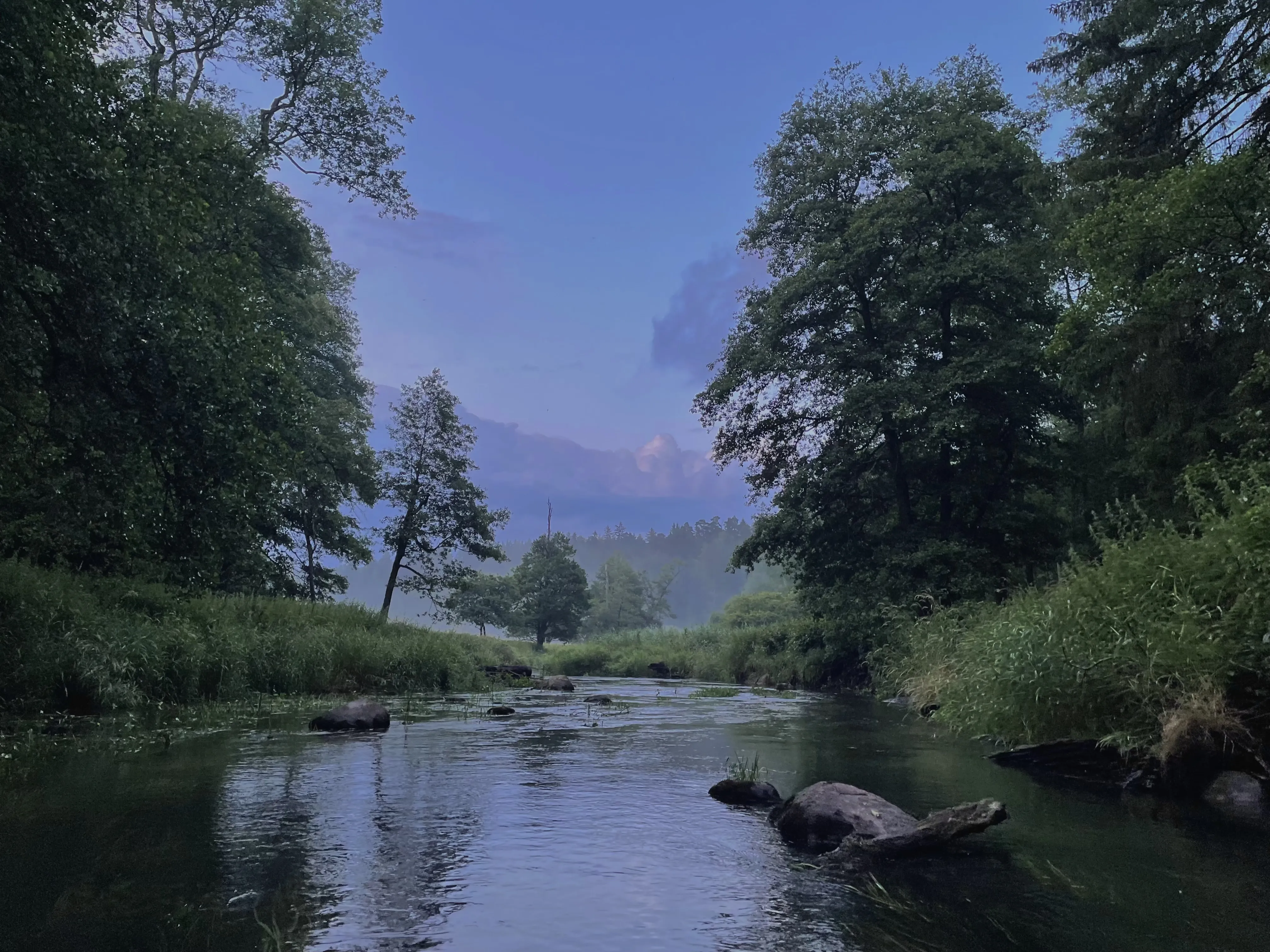 Вечер на реке