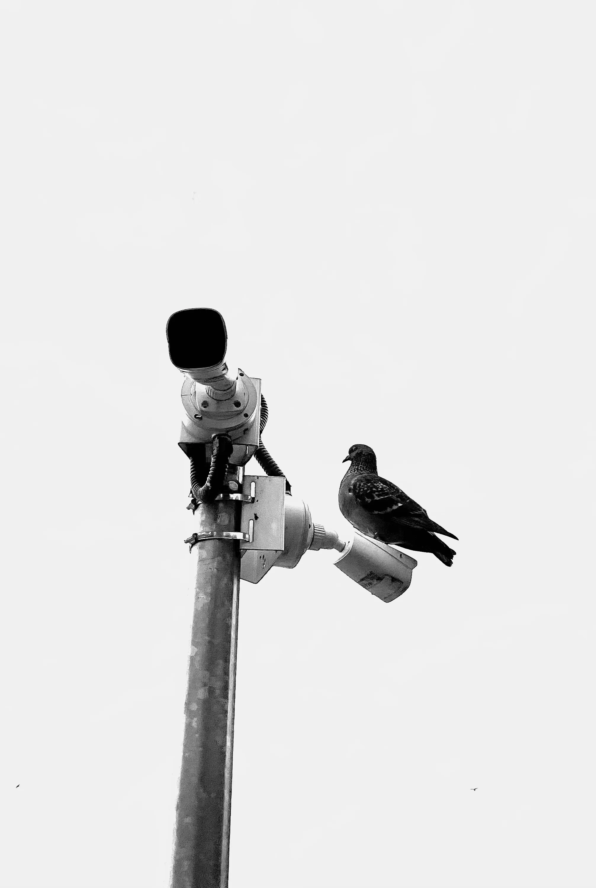 Мы следим за тобой