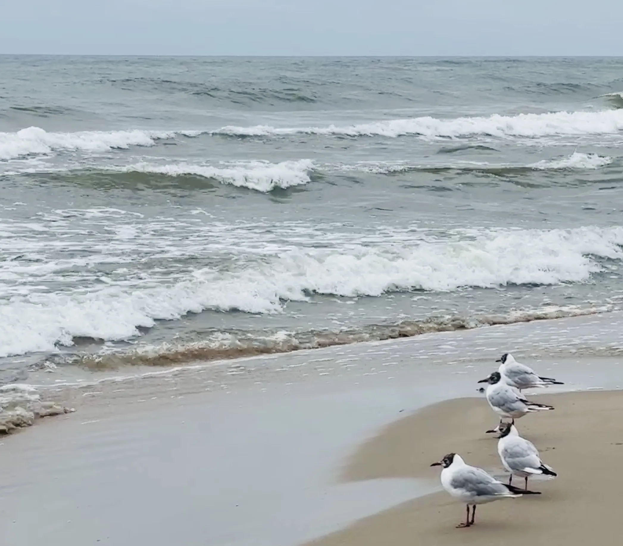 Безмятежность