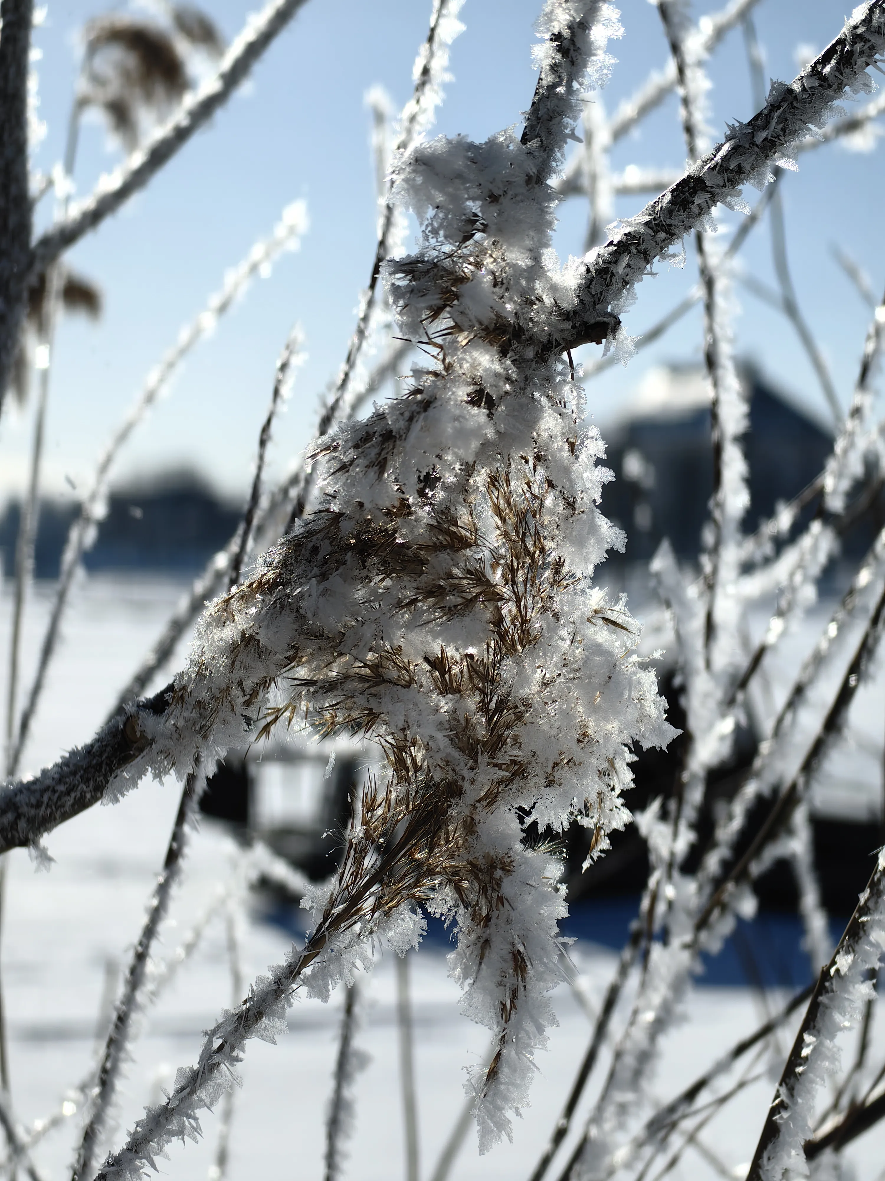 Снежные хлопья