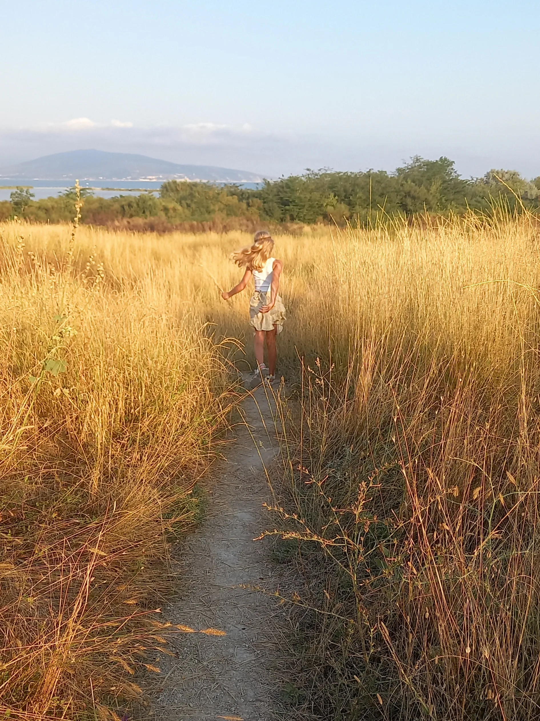 Тропинка к морю