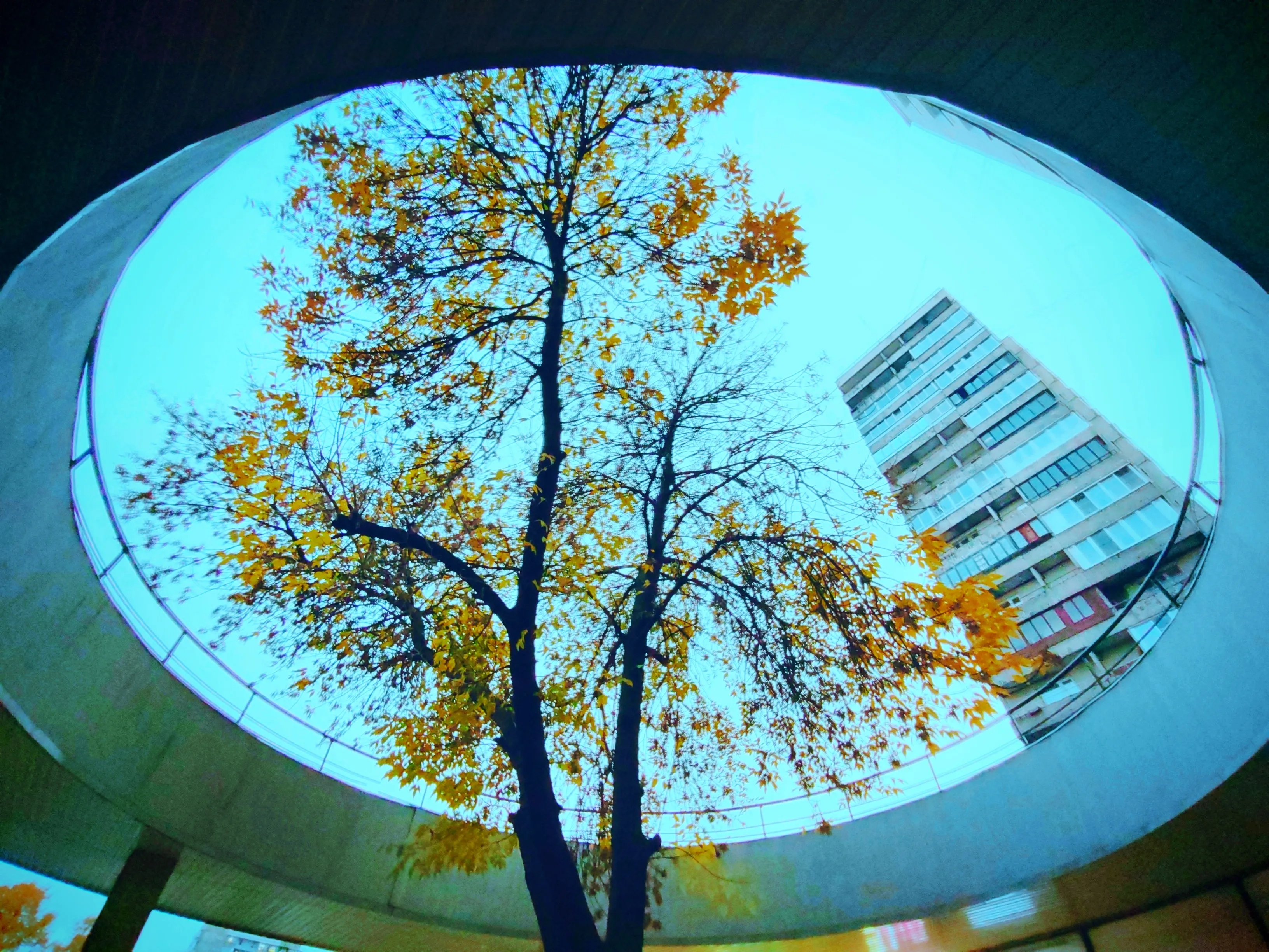 Геометрия жизни