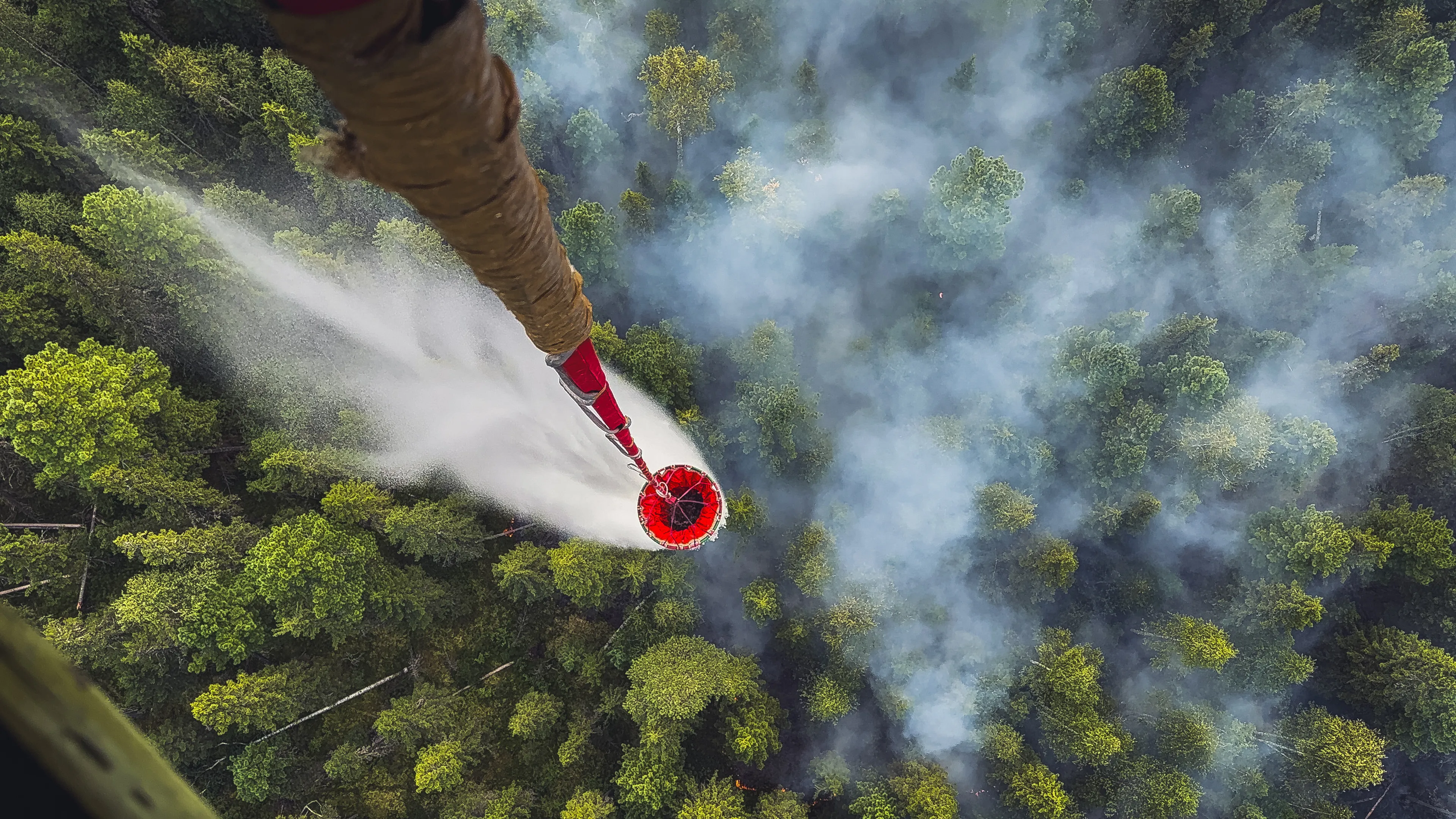 Лесной пожар