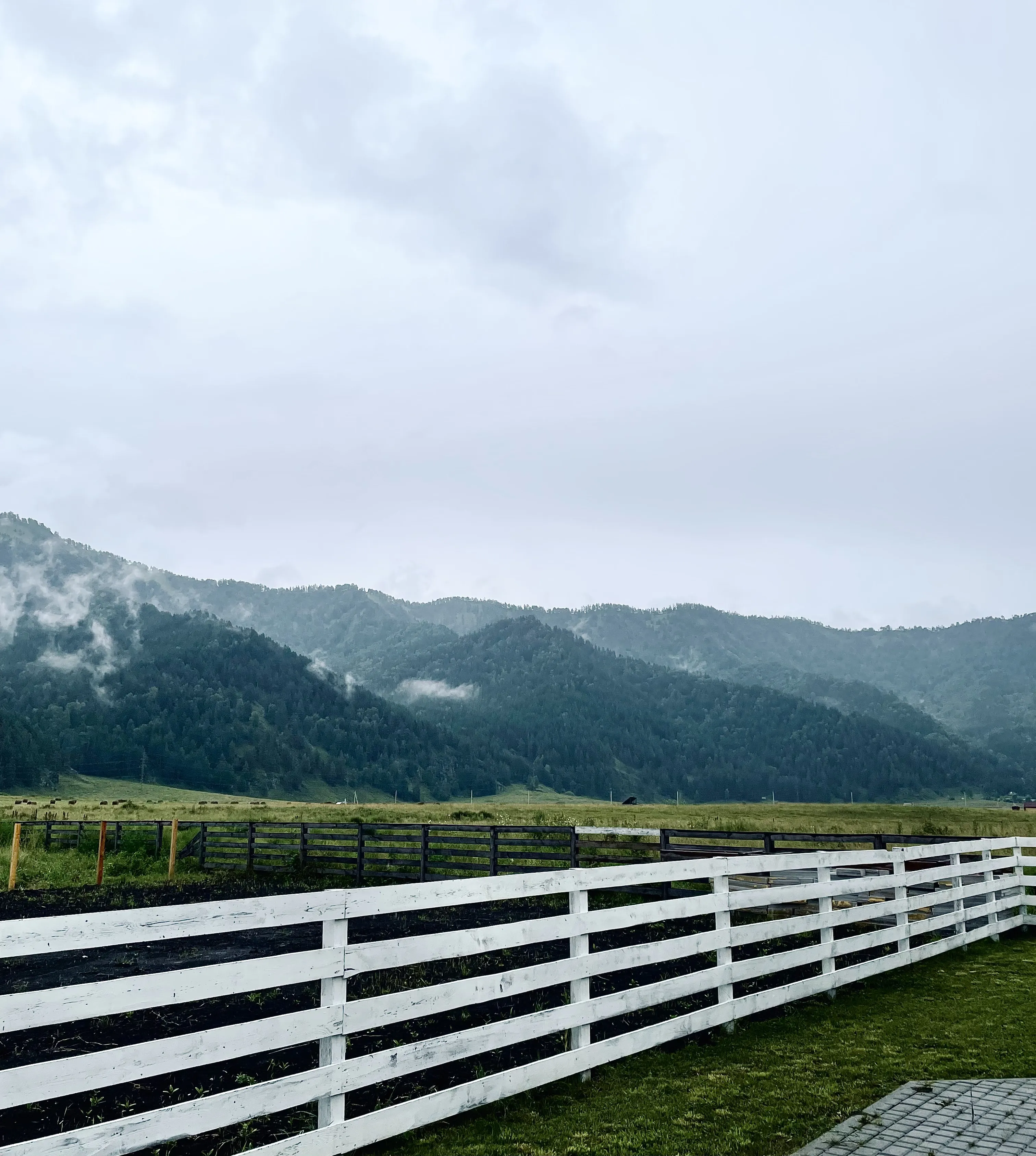 Тишина, которую я вижу. Часть.1