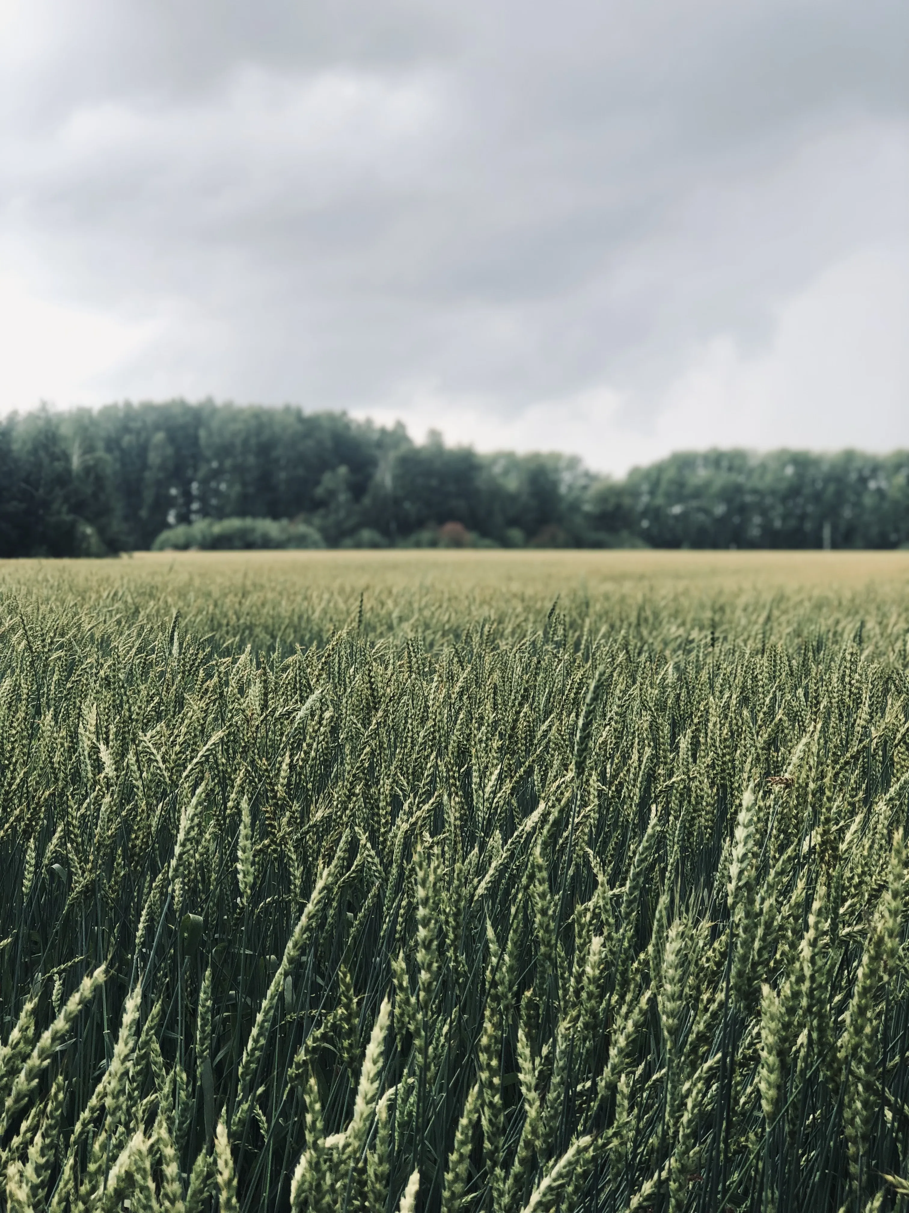 Тишина, которую я вижу. Часть.3