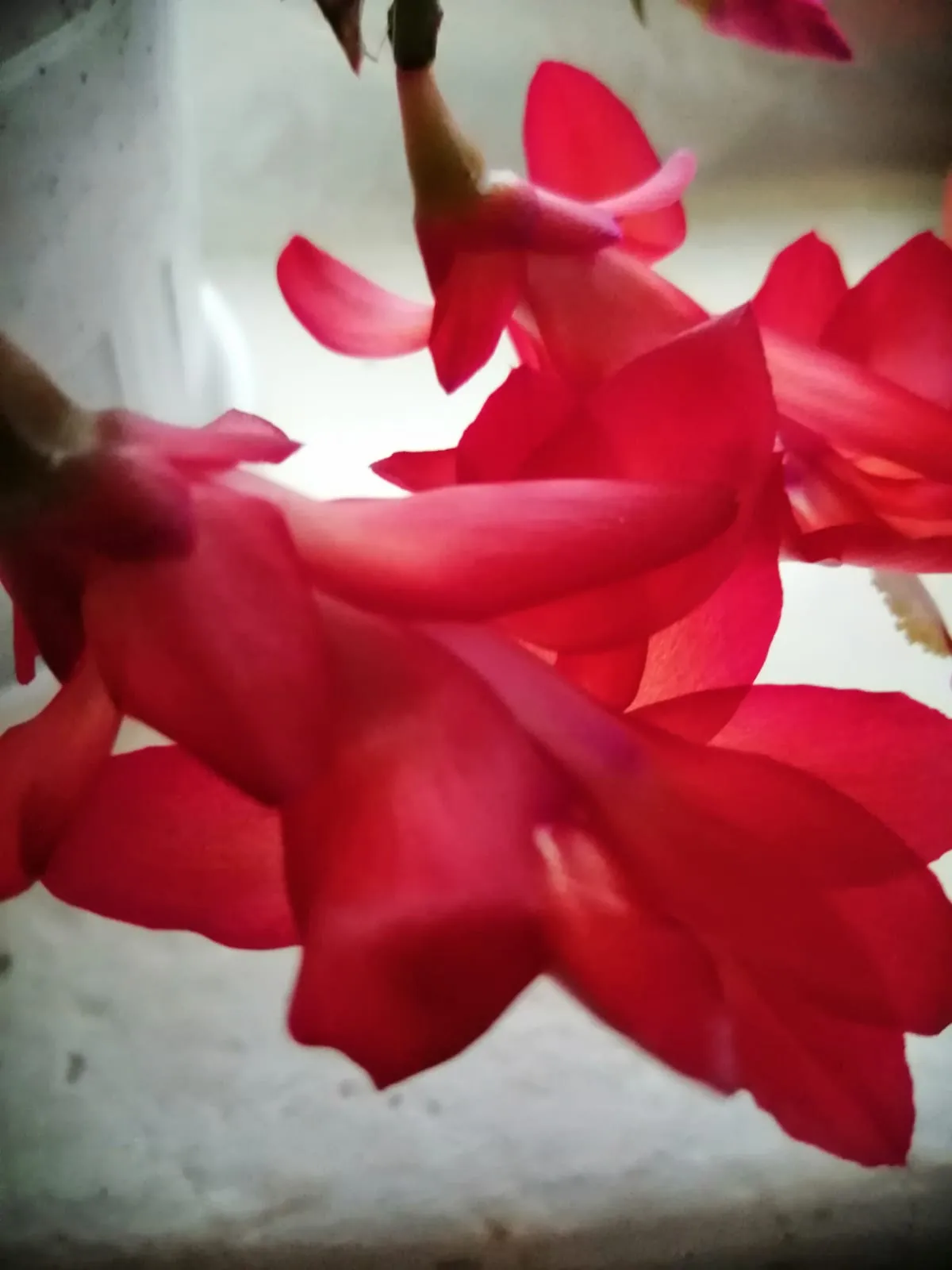 Красота в природе