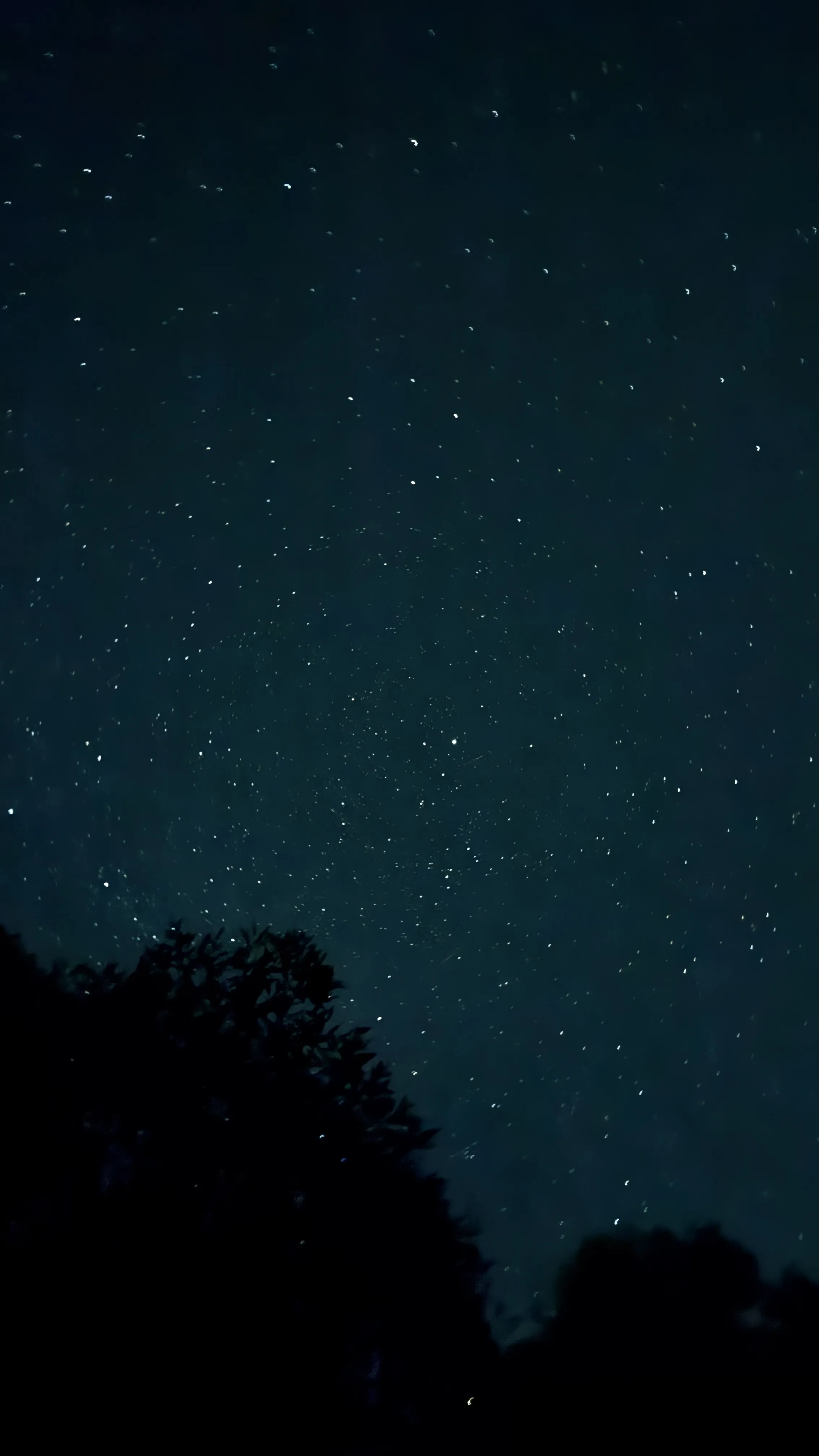 Звездная ночь