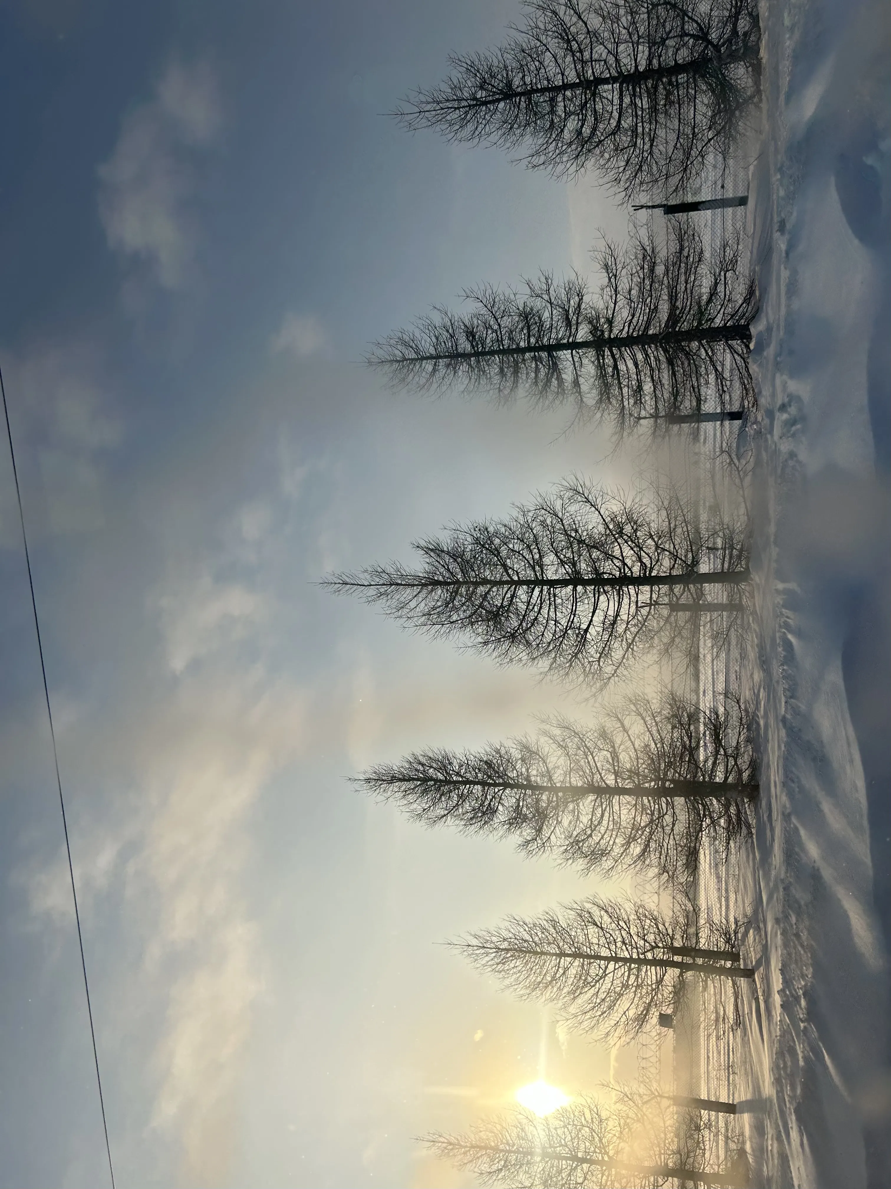 Сибирь. Январь