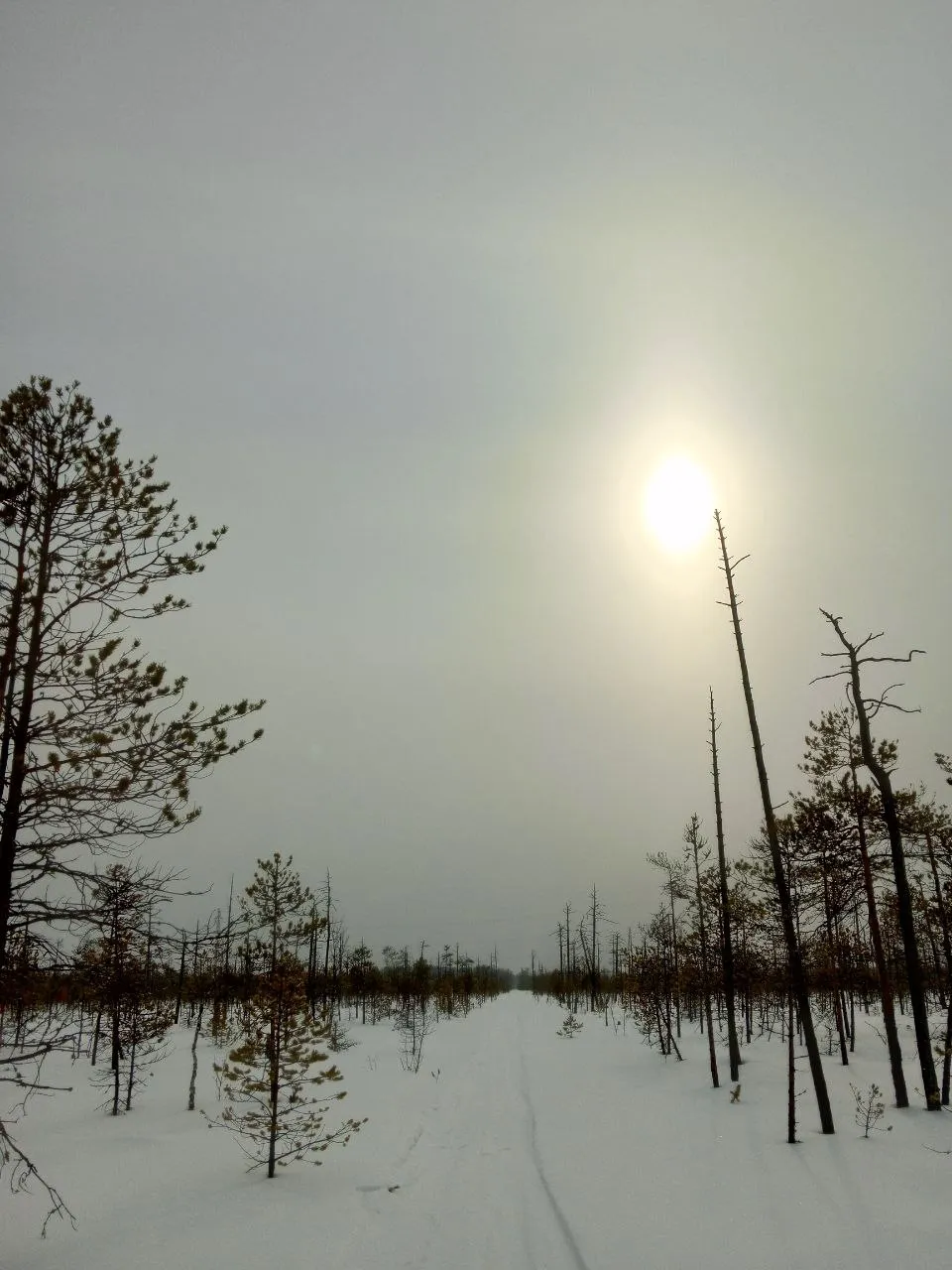 Тихий зимний день