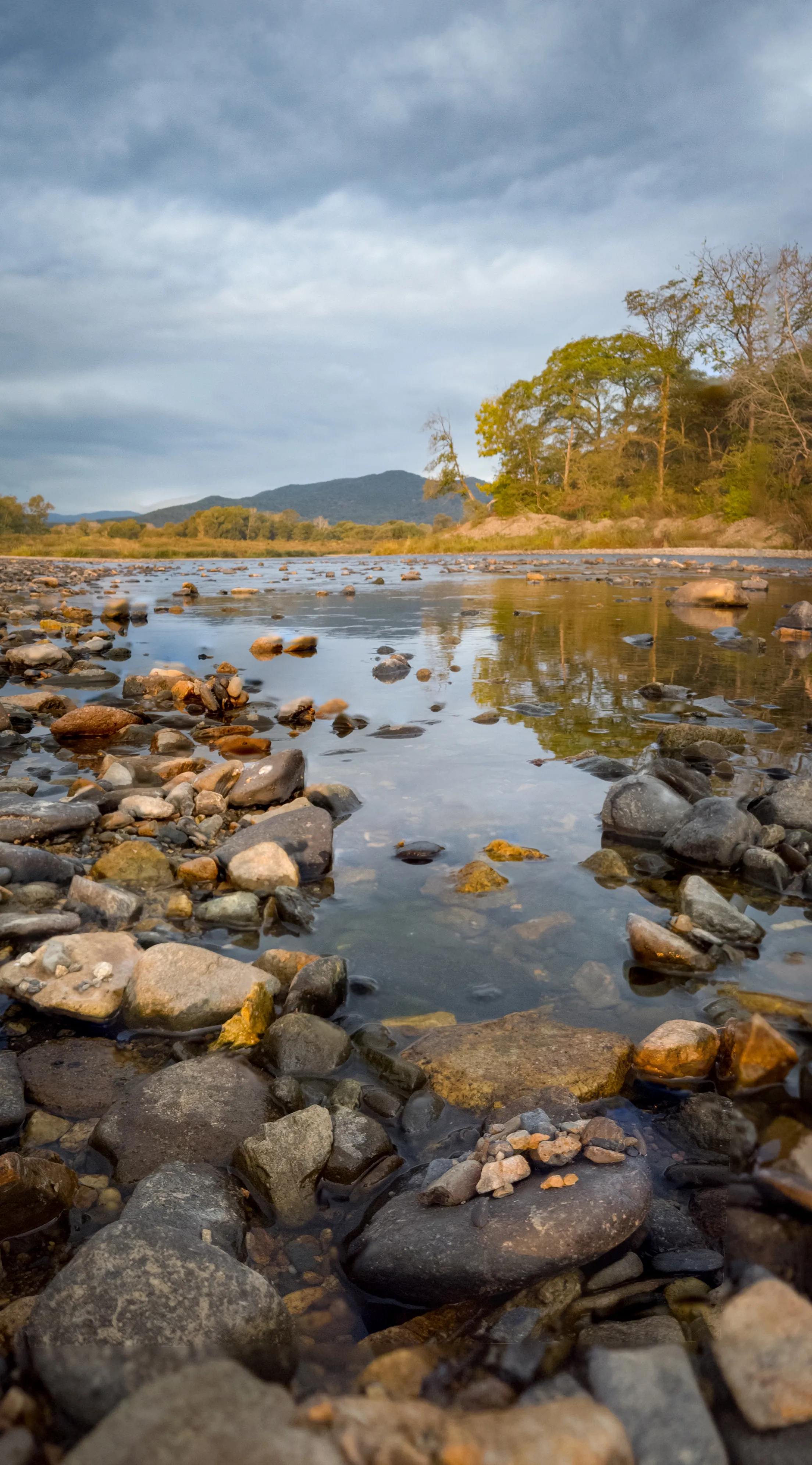Прогулки по воде