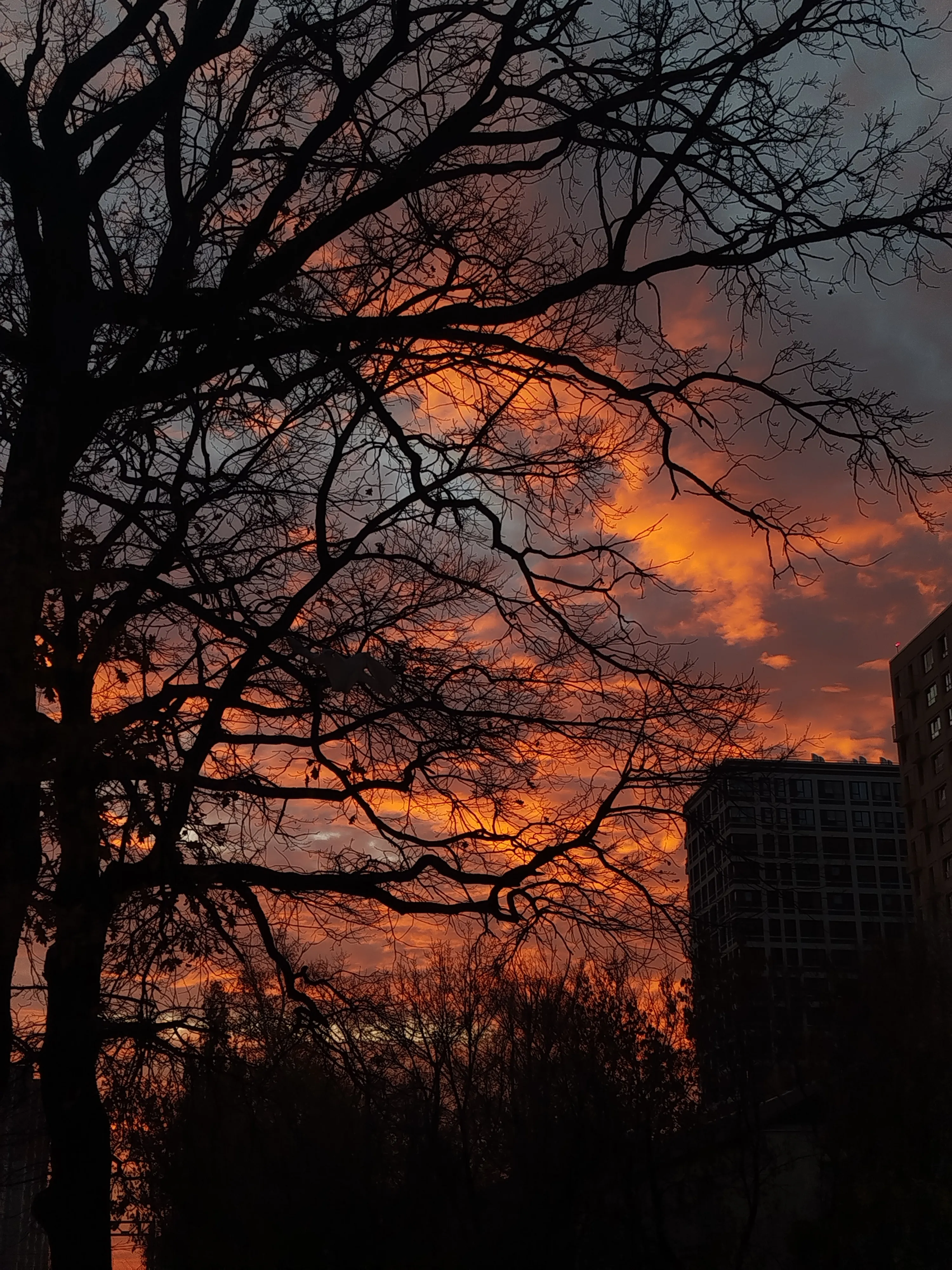 Румяный закат ноября