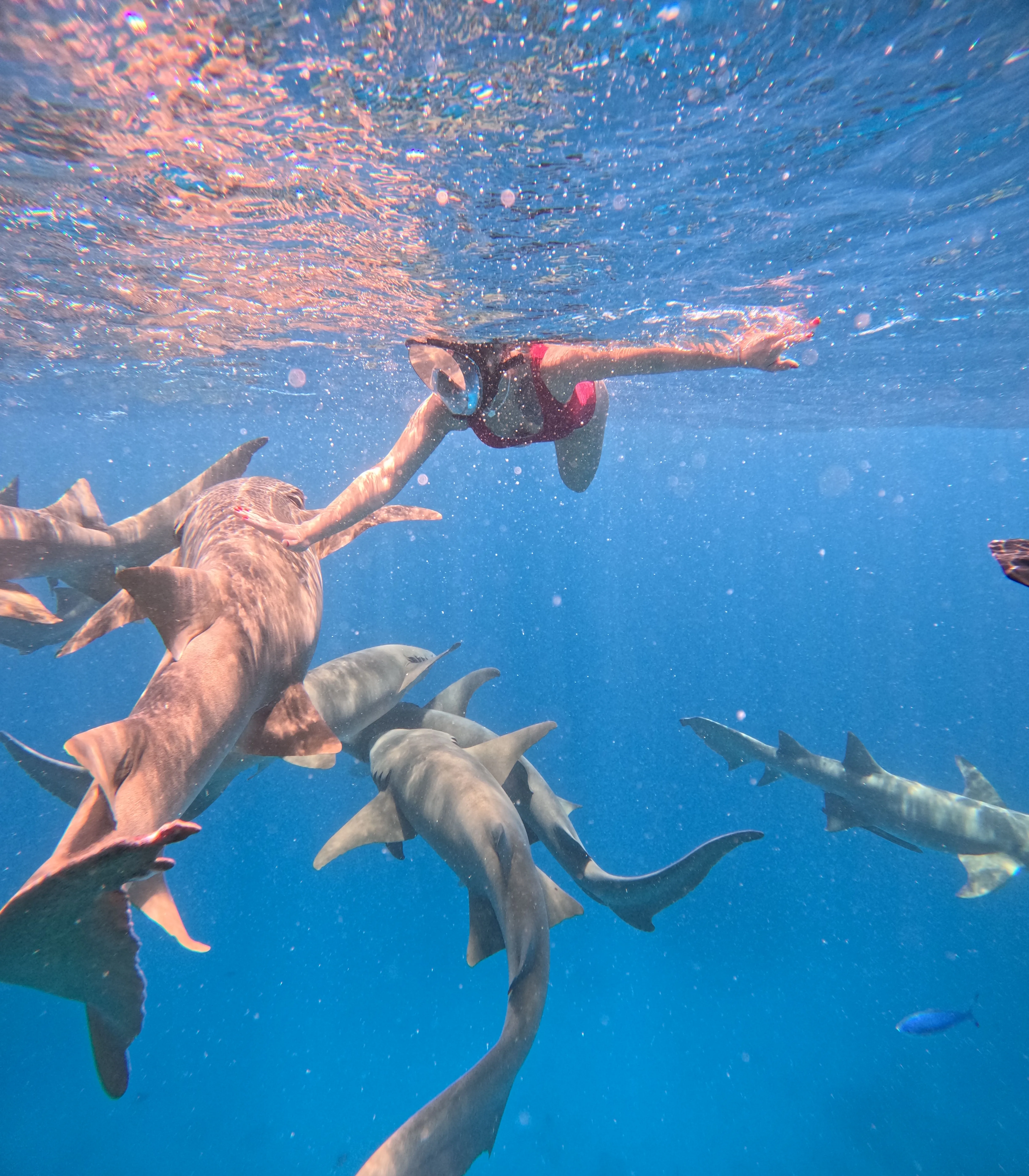 Мечты сбываются