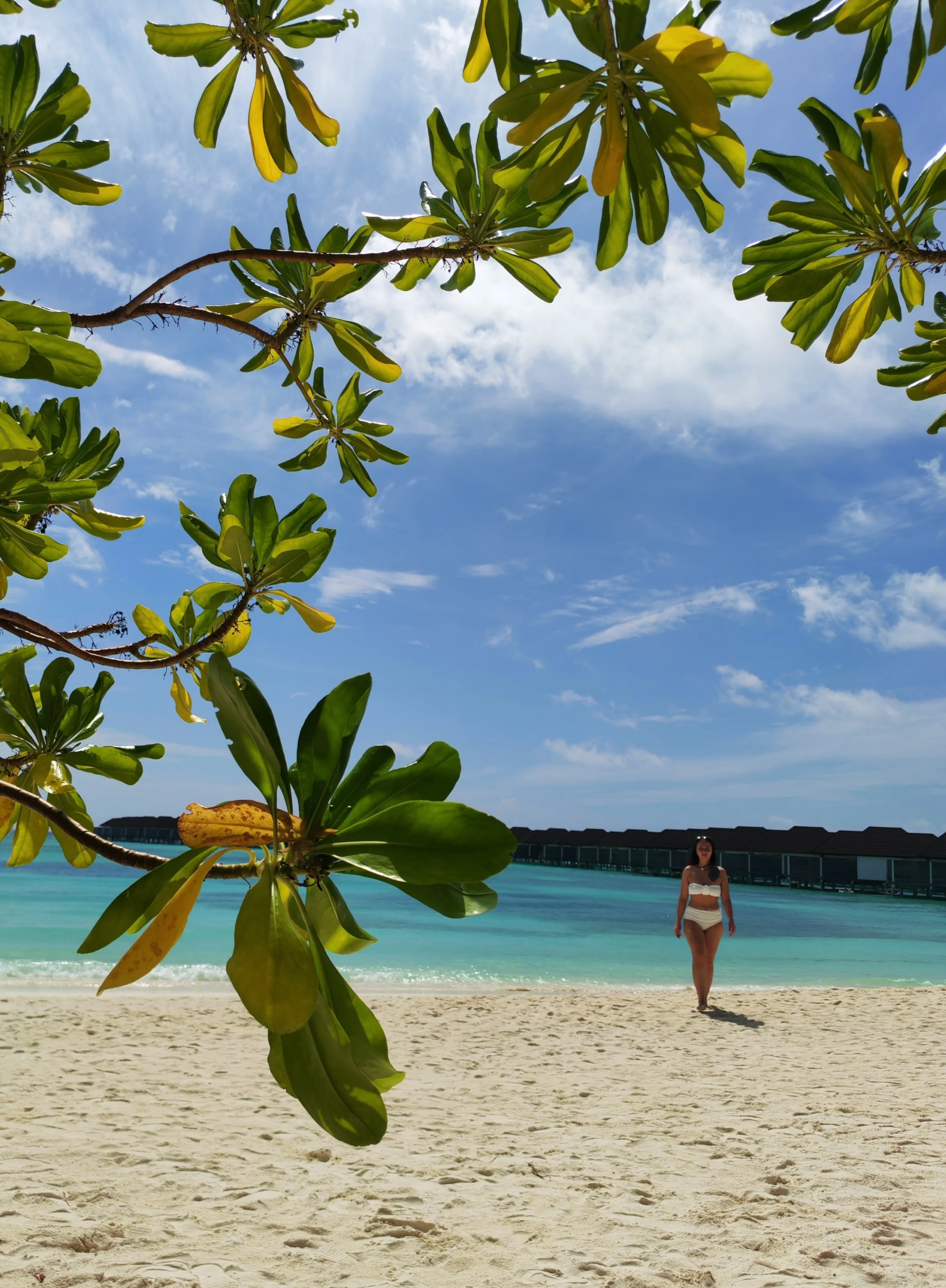 Райское наслаждение