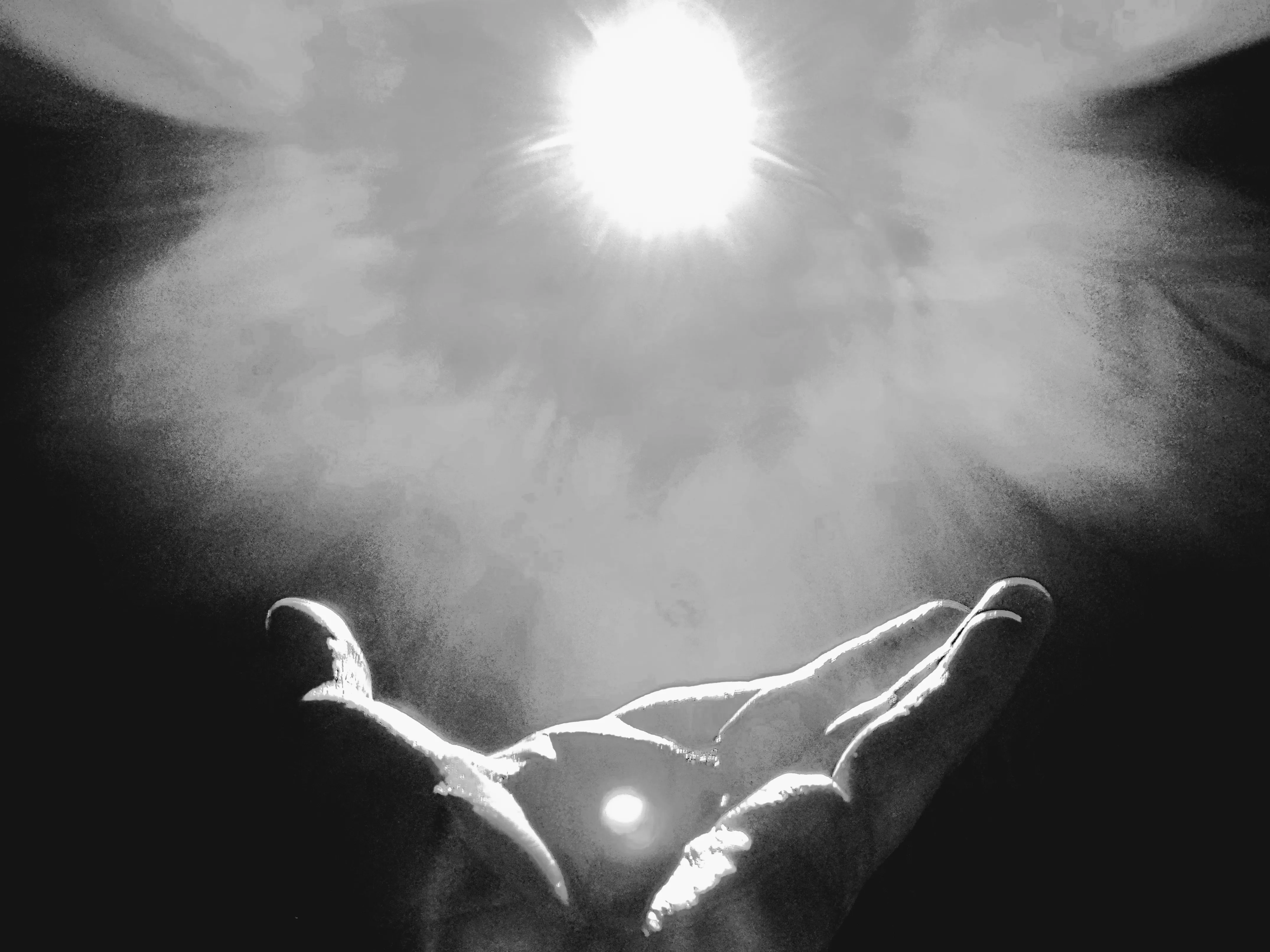 Лепестки света