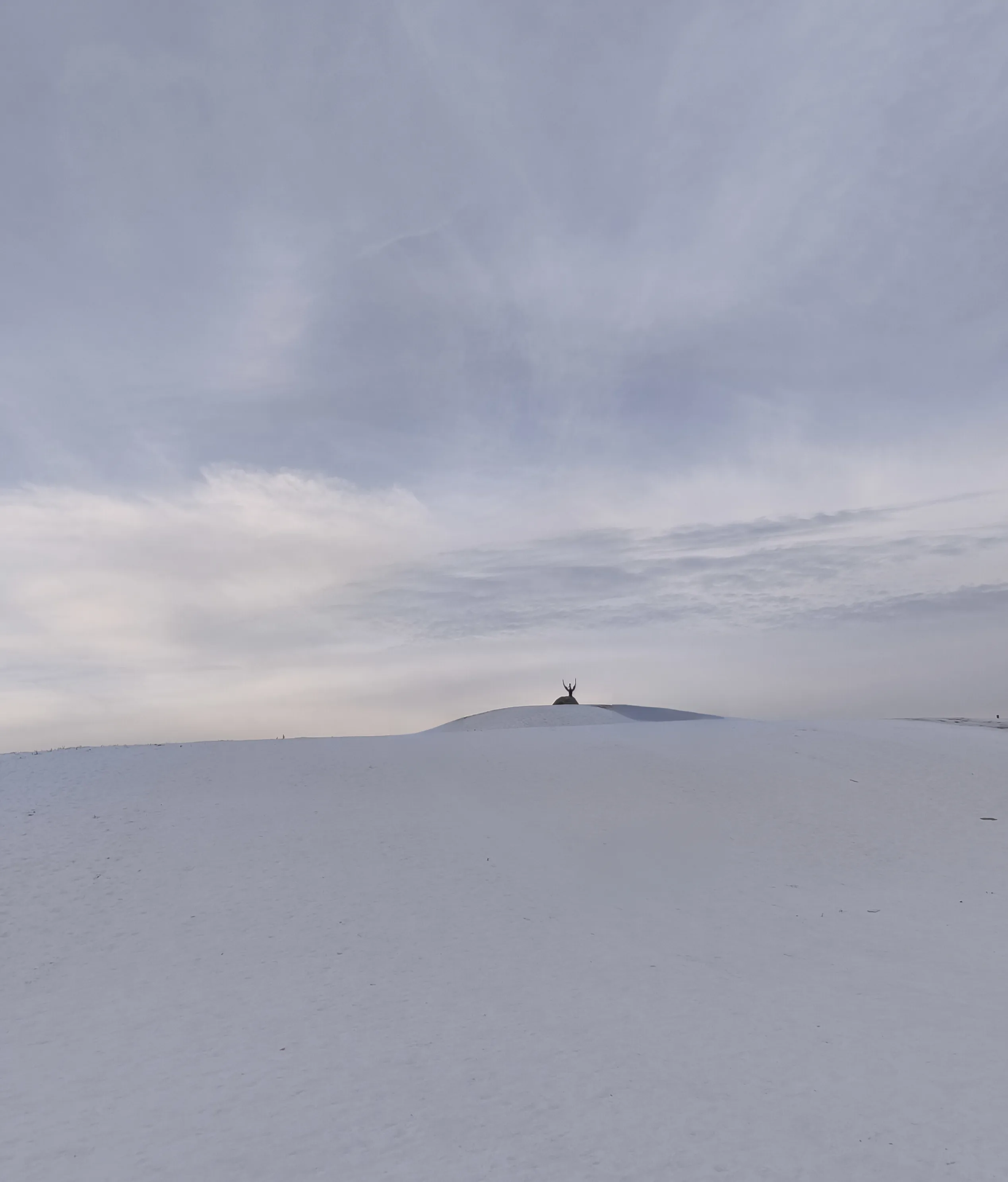 Очарование серого безмолвия