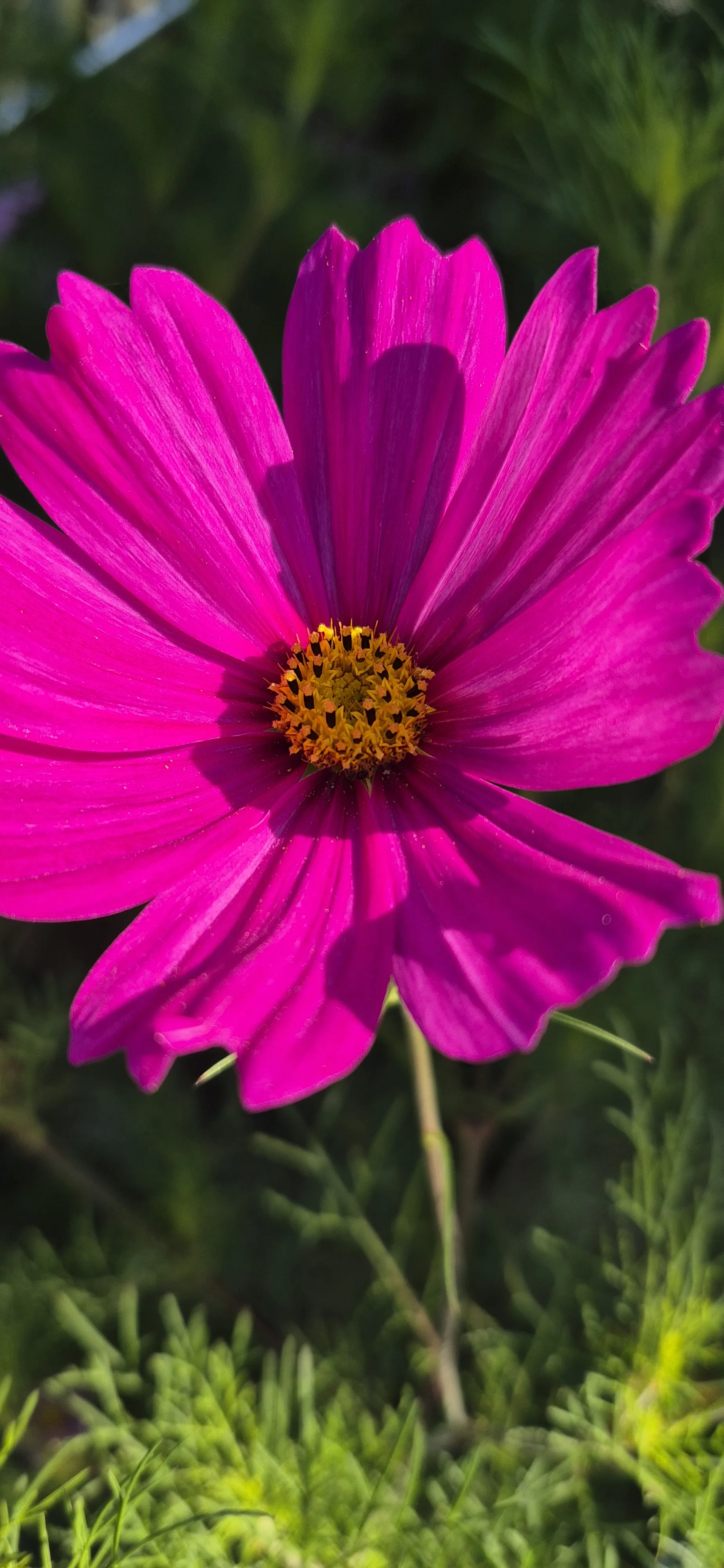 Краски лета