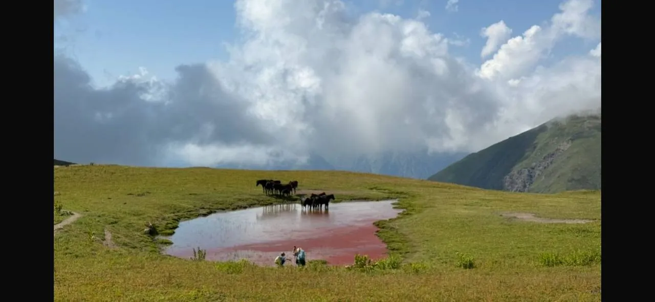 Жизнь в моменте