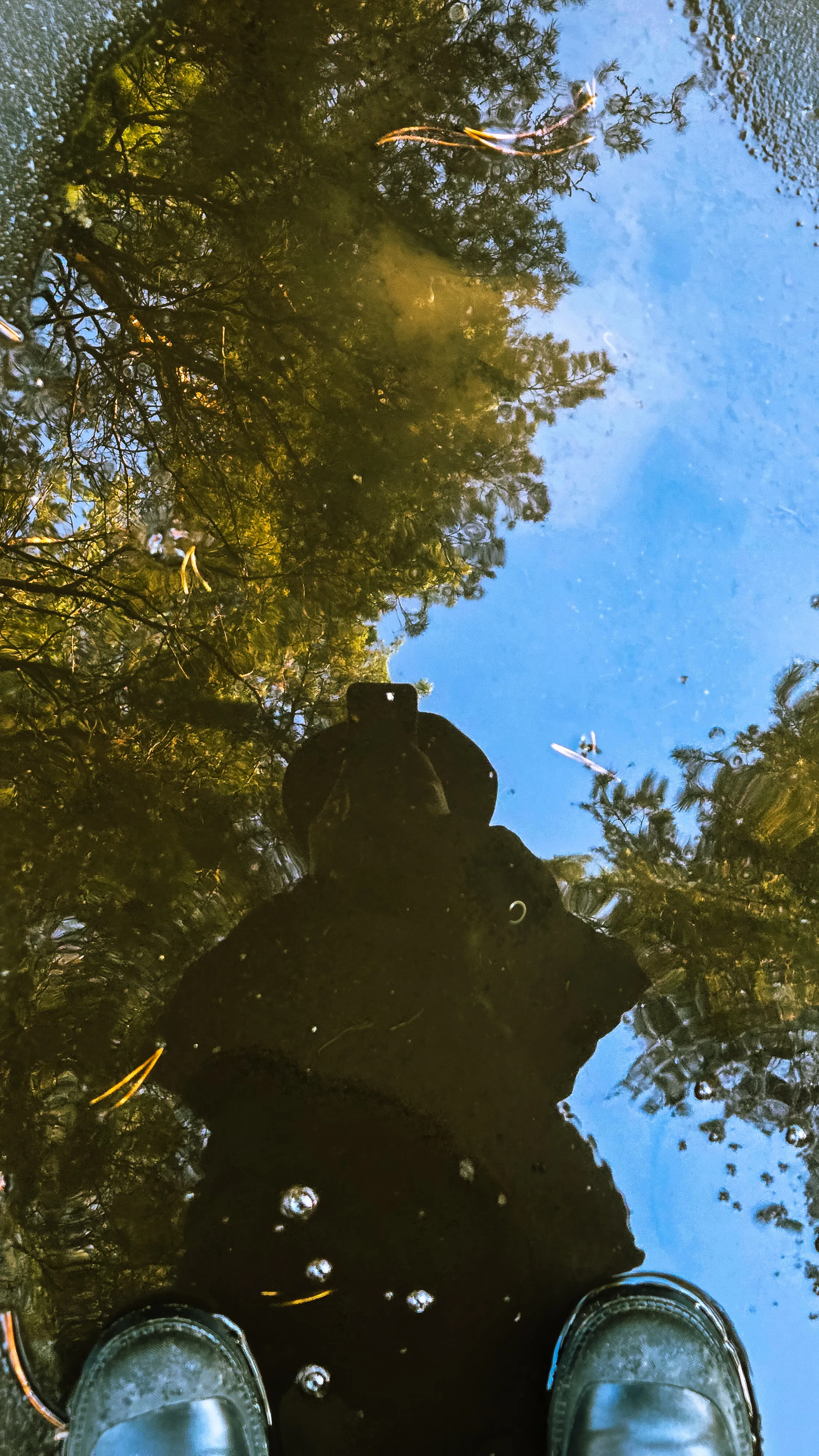 Космос под ногами