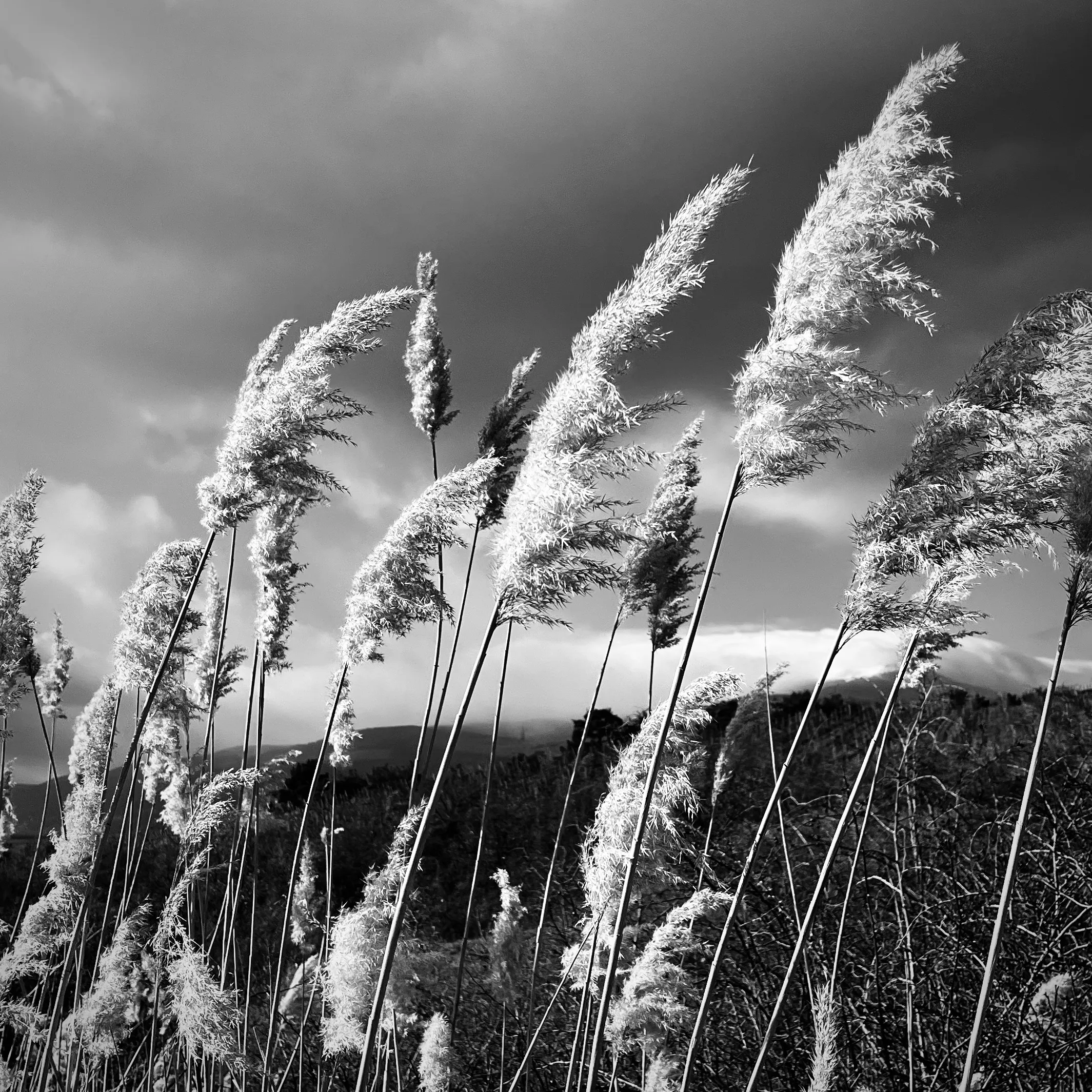 Осенний ветер