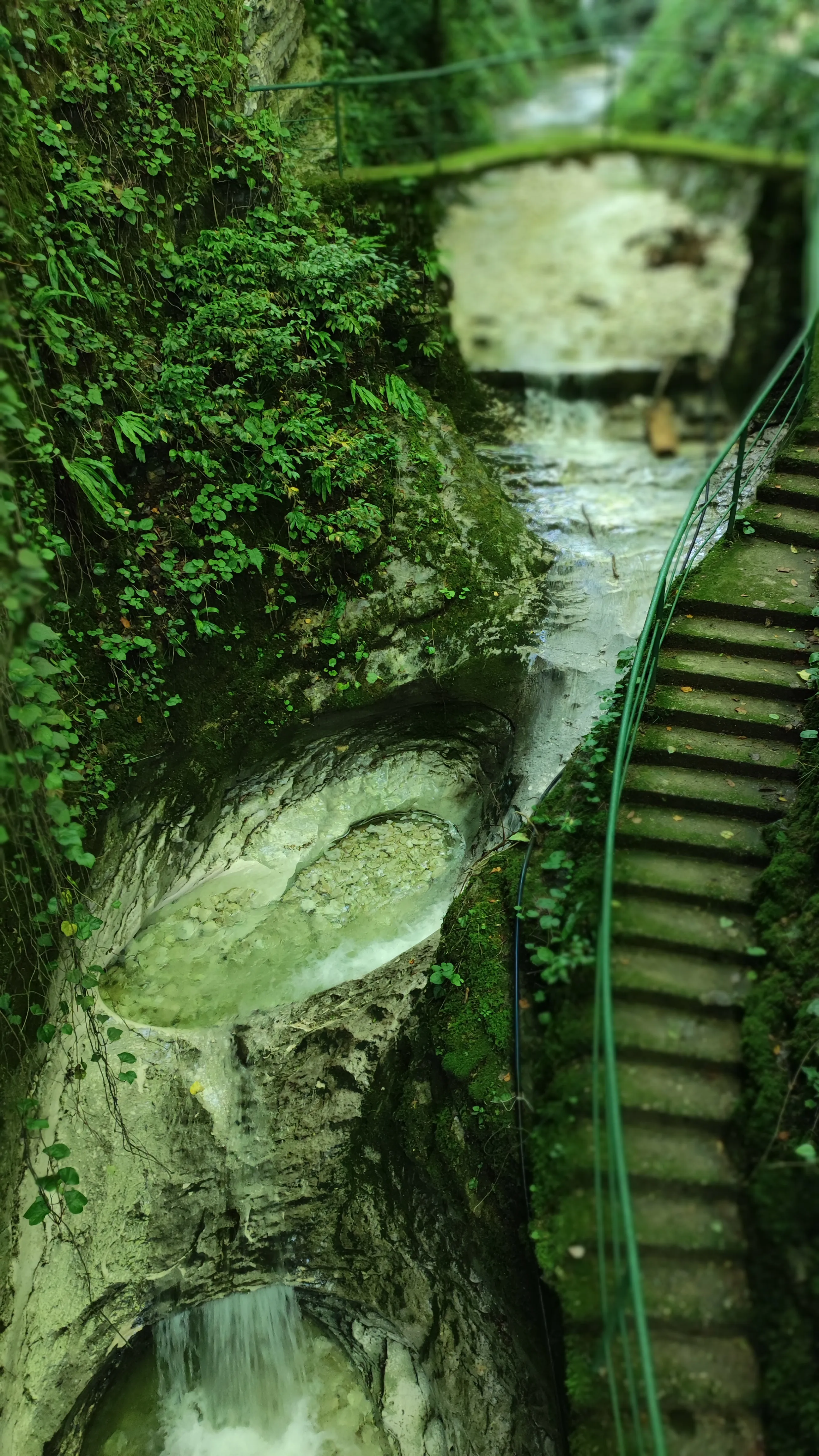 Наедине с природой