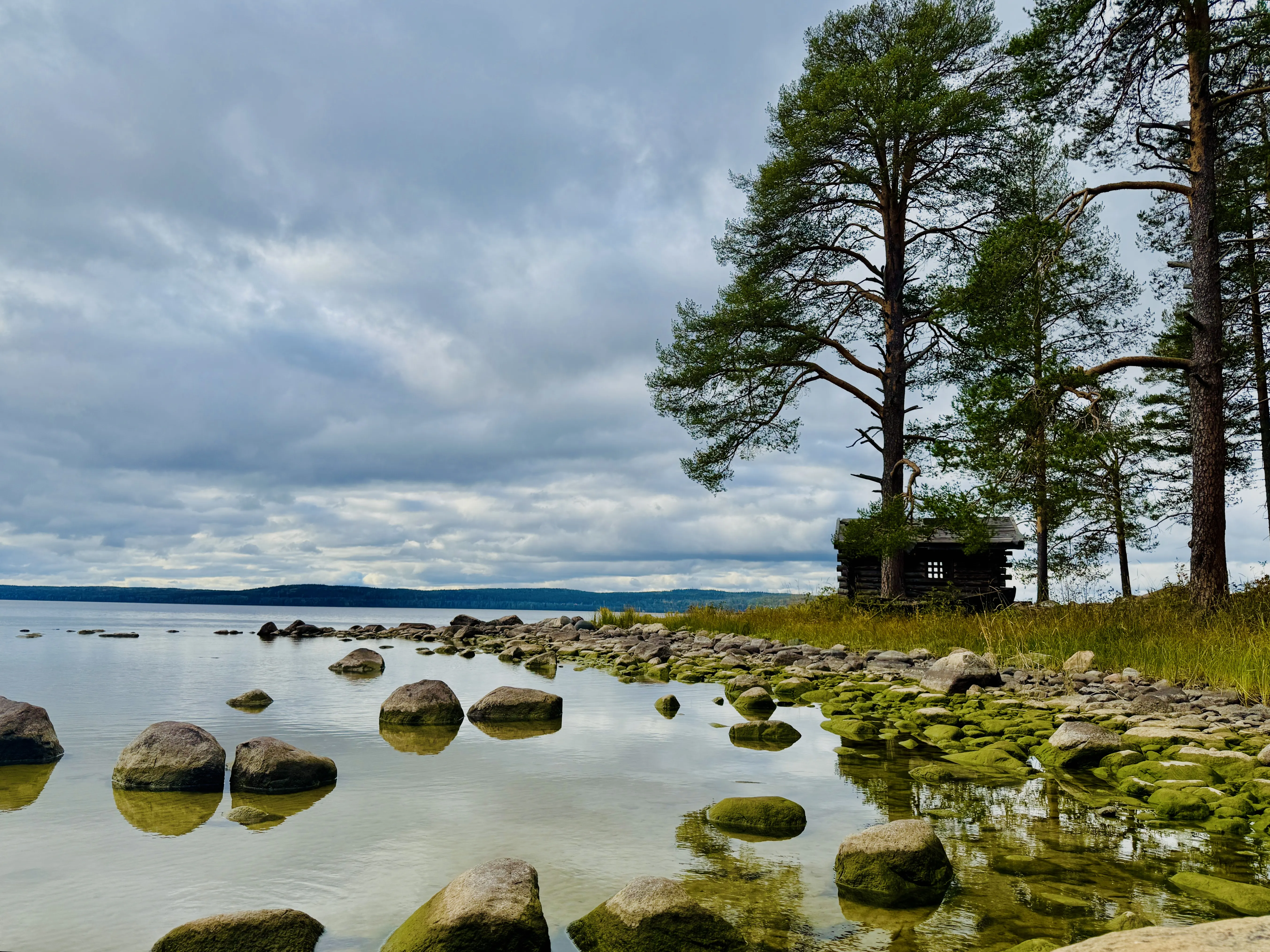 Нашел свое и успокоился