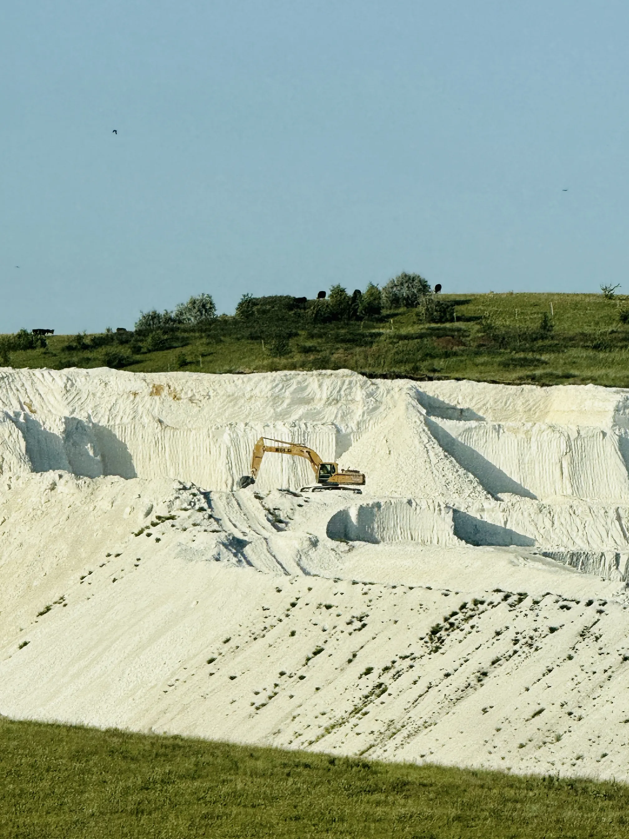 Коровья земля