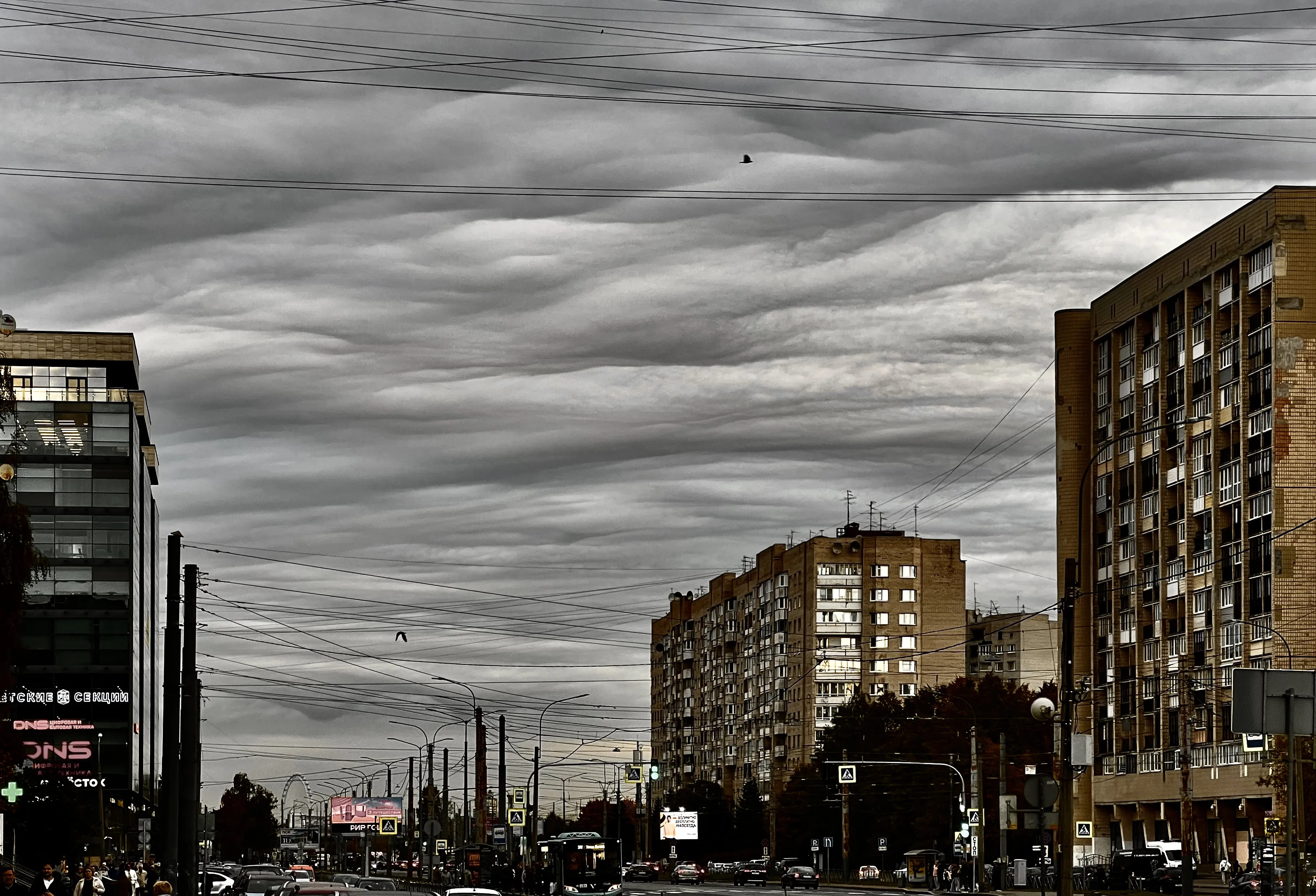 Посмотри вверх