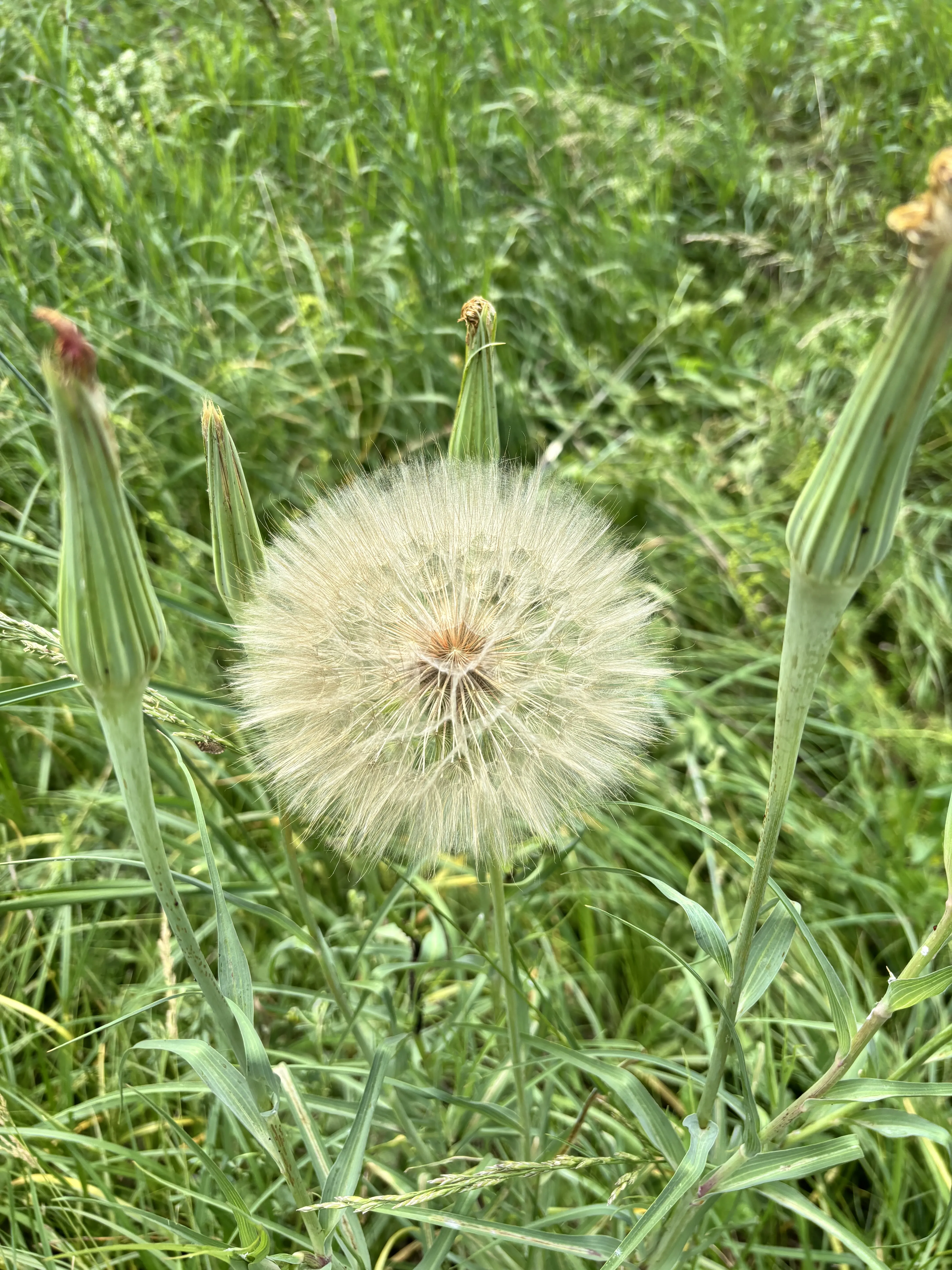 Хрупкая красота природы